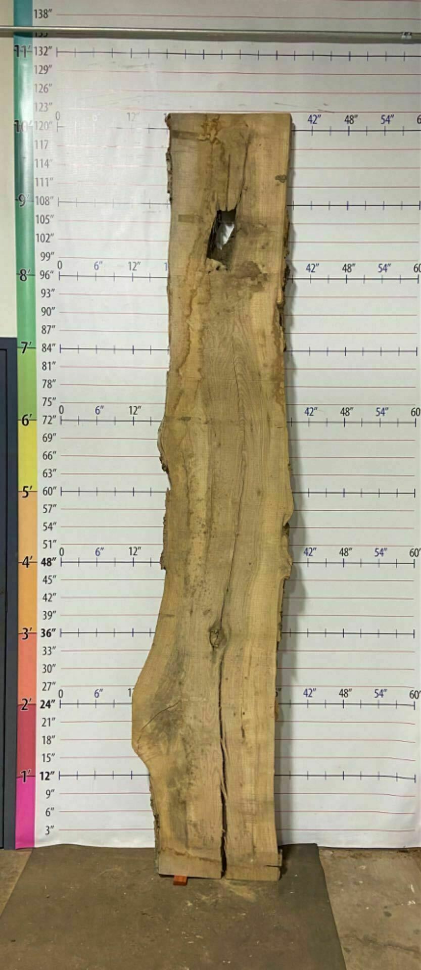 Ash Live Edge Slab - A 12