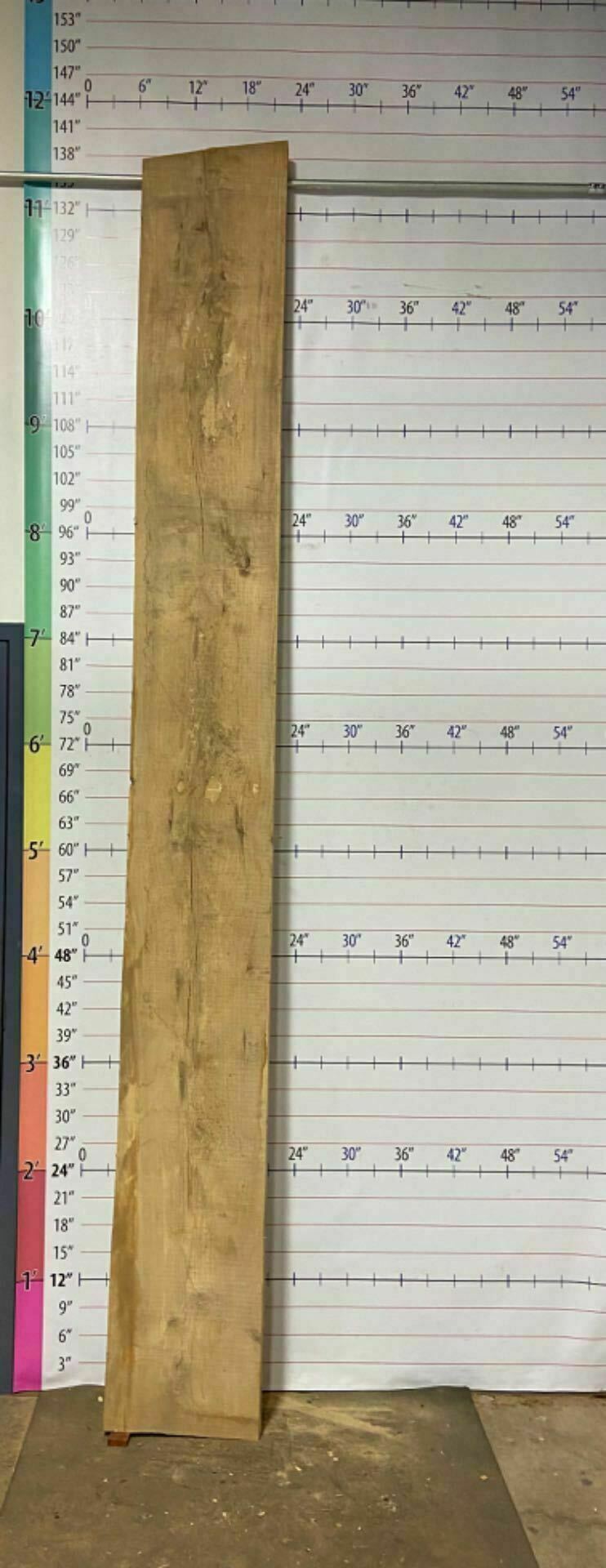Ash Live Edge Slab - A 16