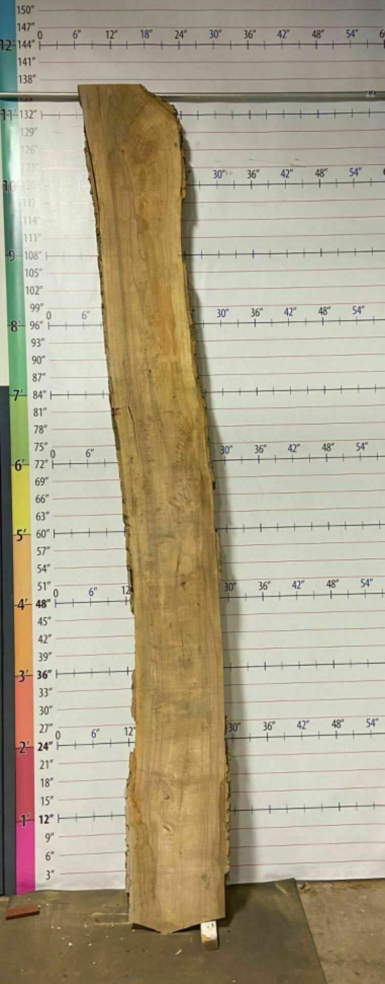 Ash Live Edge Slab - A 18