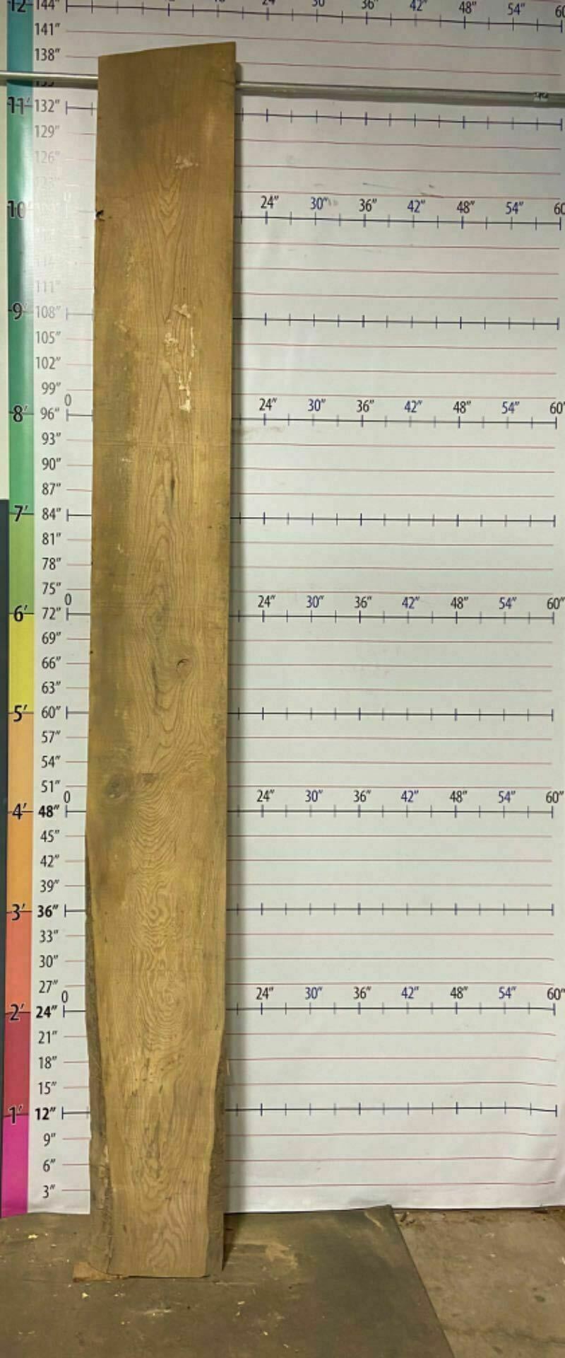 Ash Live Edge Slab - A 19