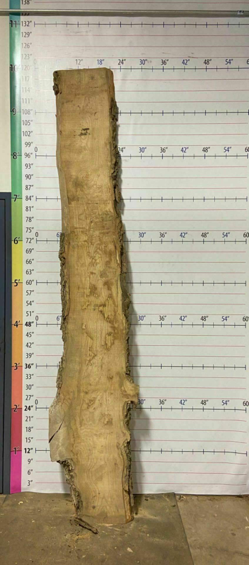 Ash Live Edge Slab - A 21