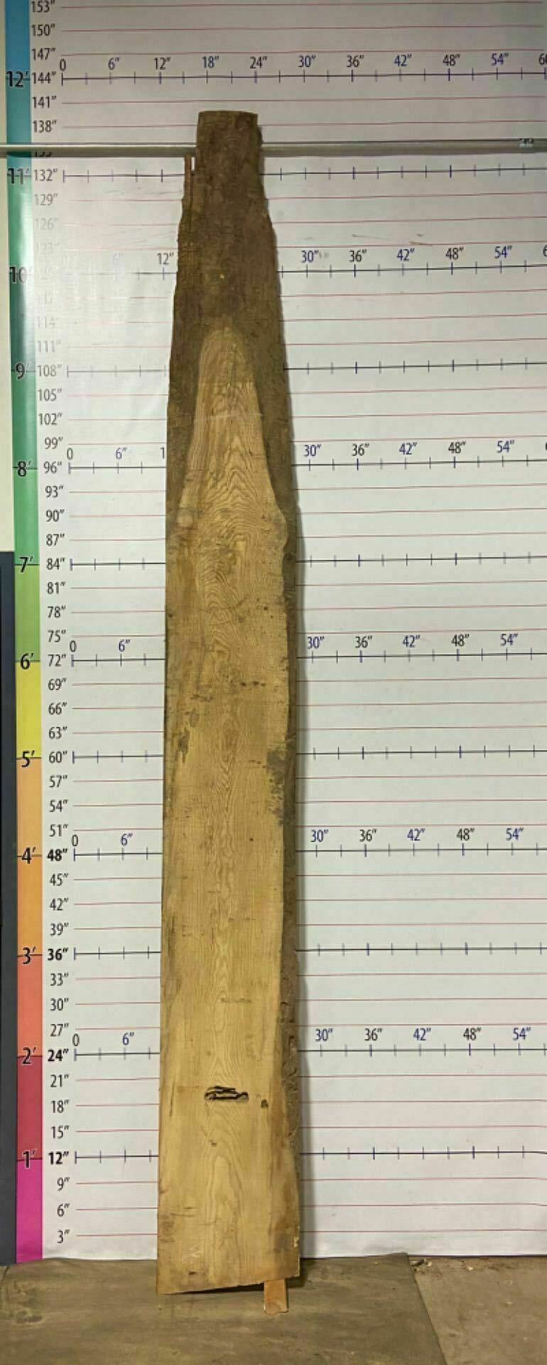 Ash Live Edge Slab - A 22