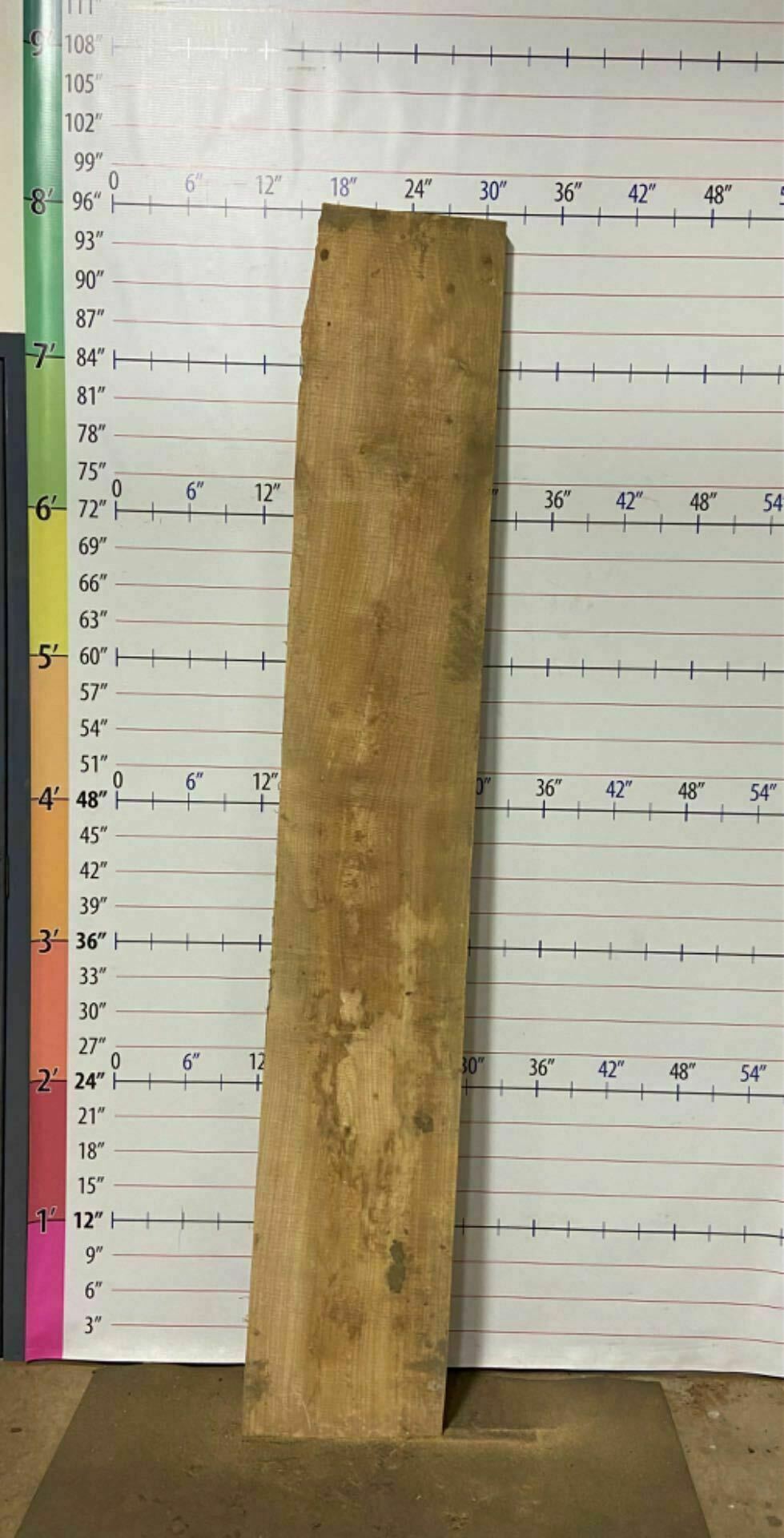 Ash Live Edge Slab - A 4