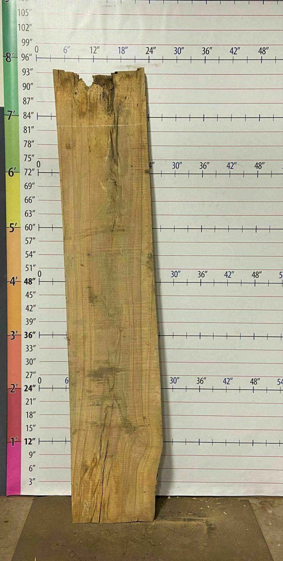 Ash Live Edge Slab - A 5