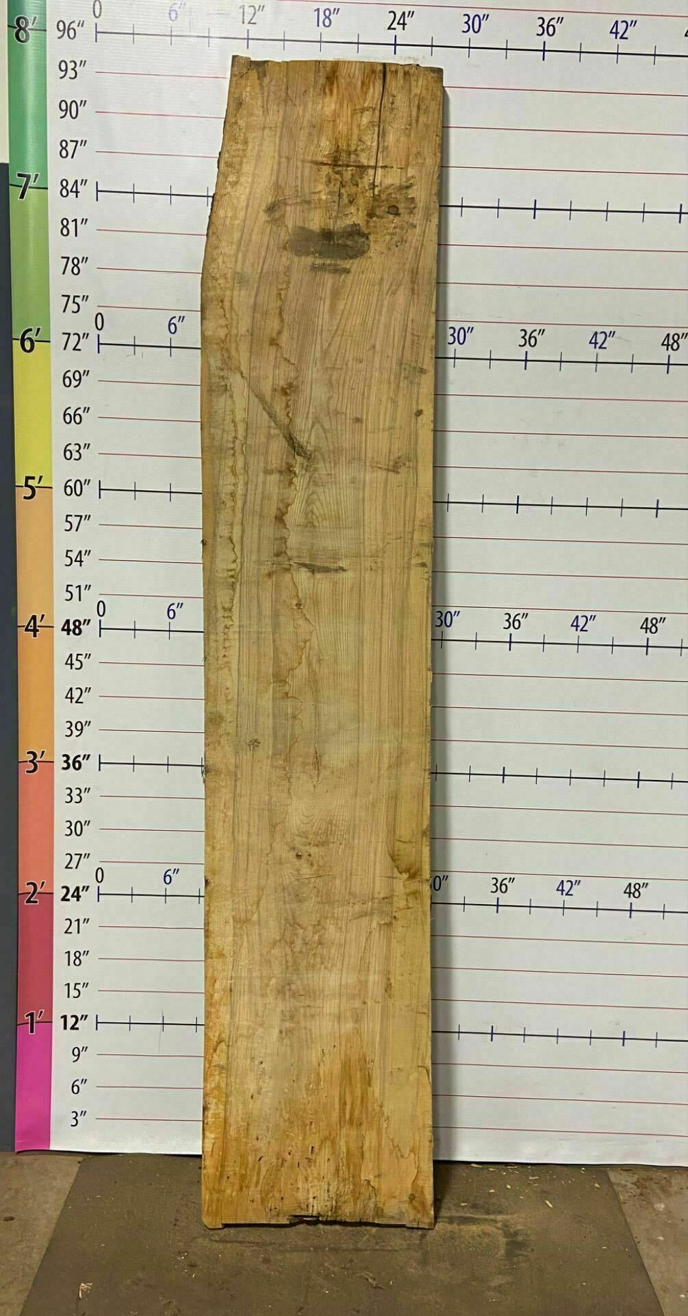 Ash Live Edge Slab - A 6
