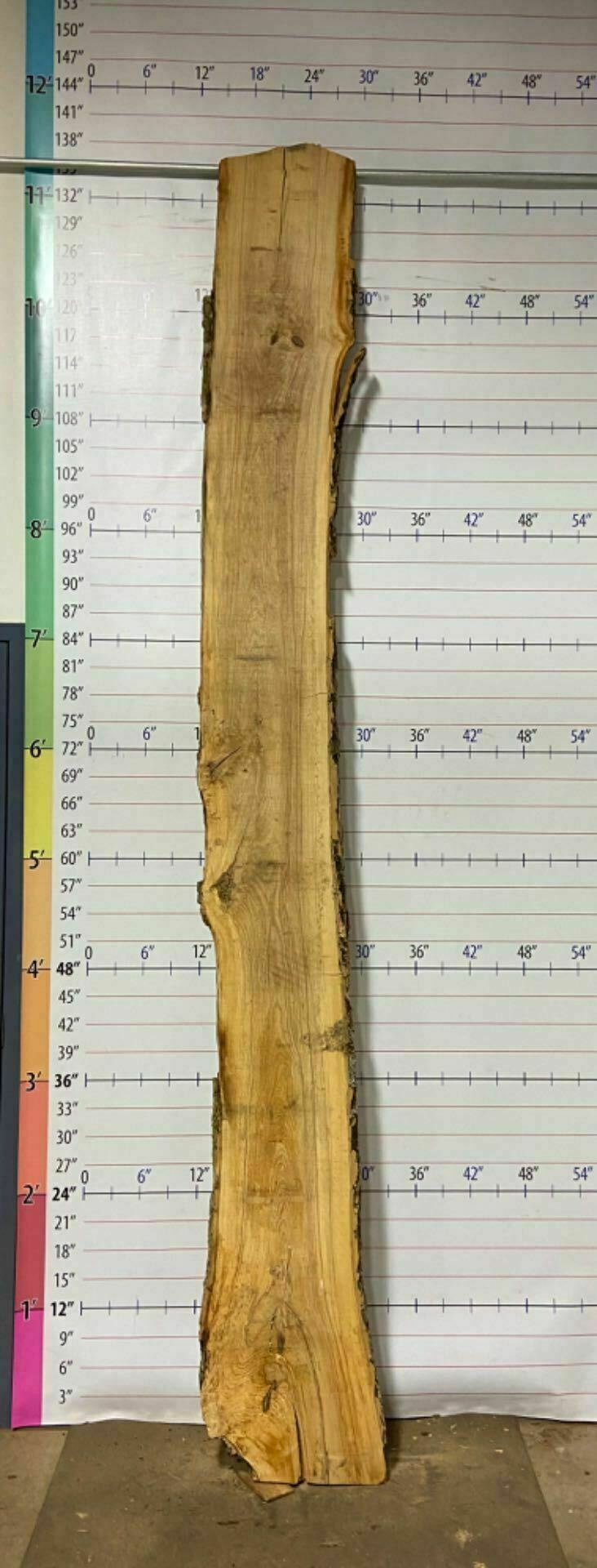 Ash Live Edge Slab - A 8