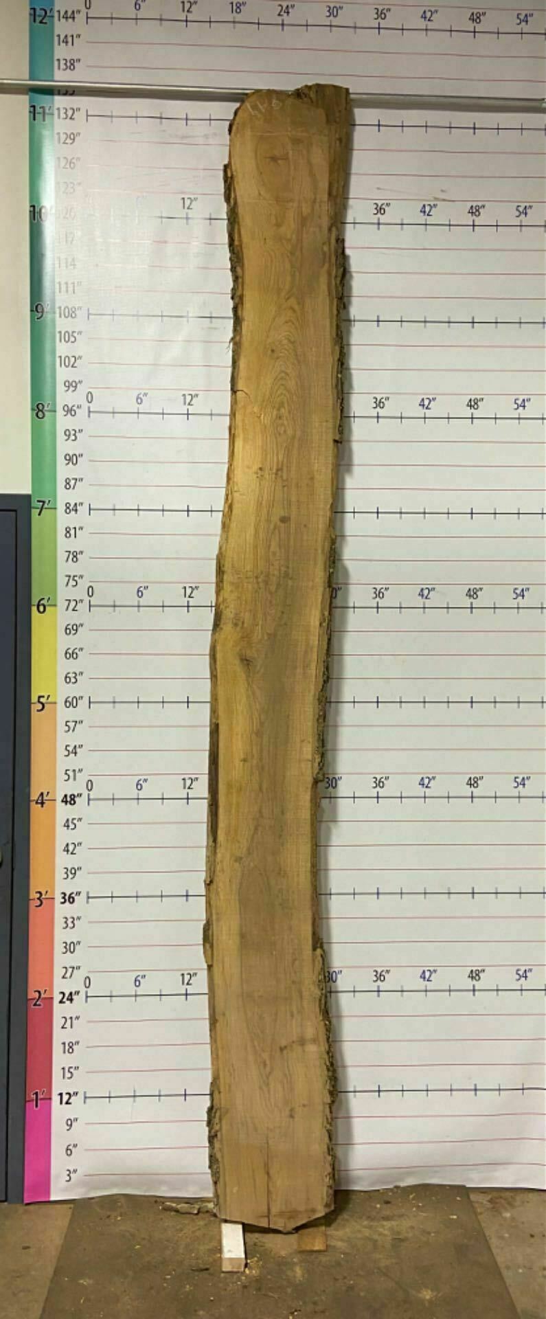Ash Live Edge Slab - A 9