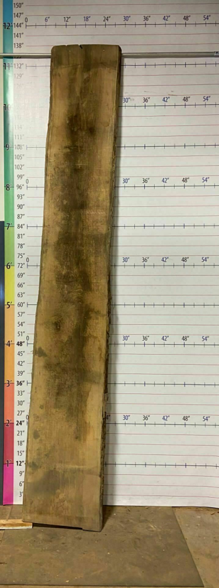 Catalpa Live Edge Slab - CTP 14