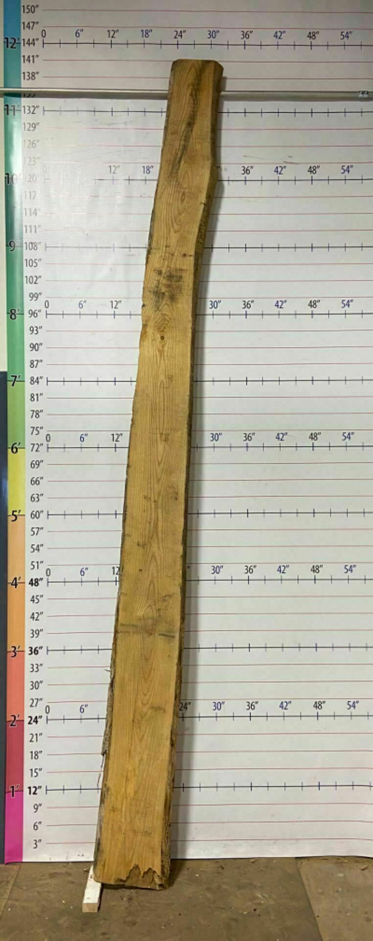 Catalpa Live Edge Slab - CTP 15