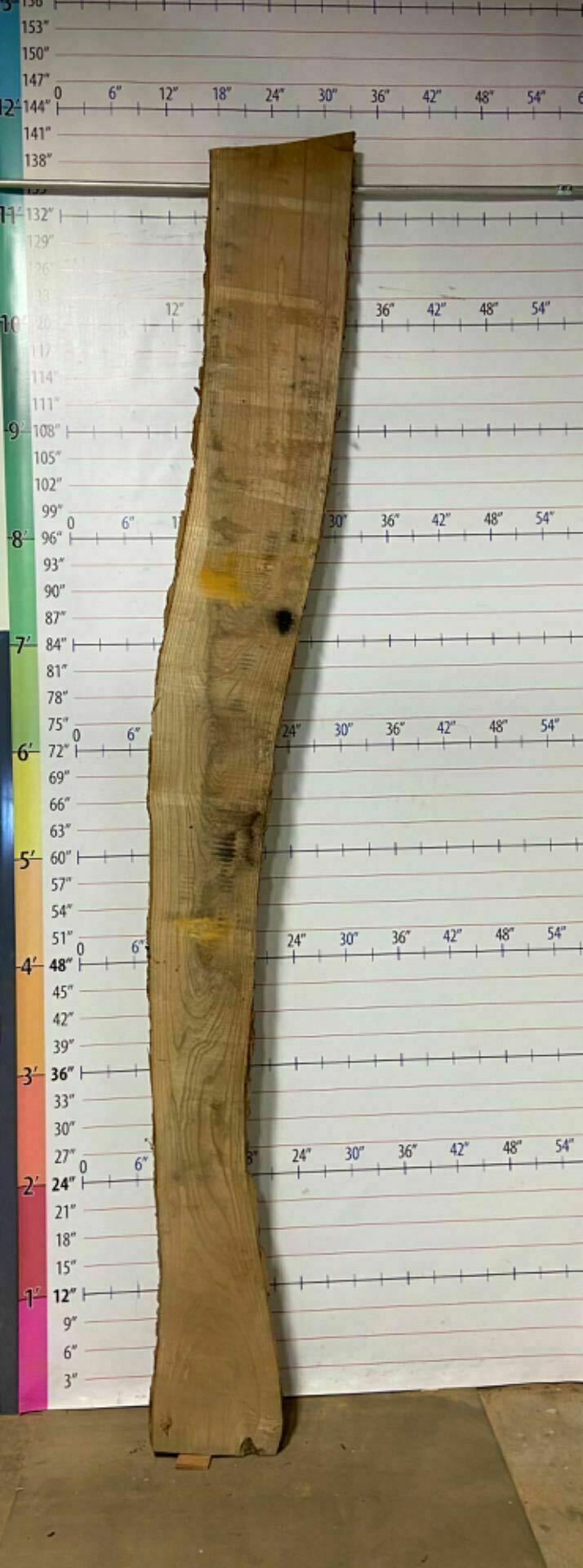 Catalpa Live Edge Slab - CTP 16