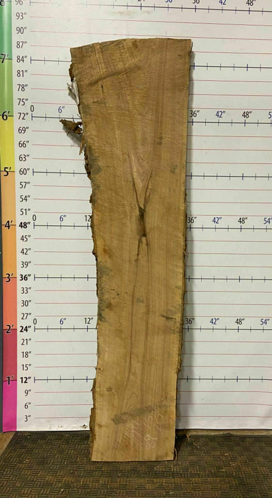 Catalpa Live Edge Slab - CTP 17