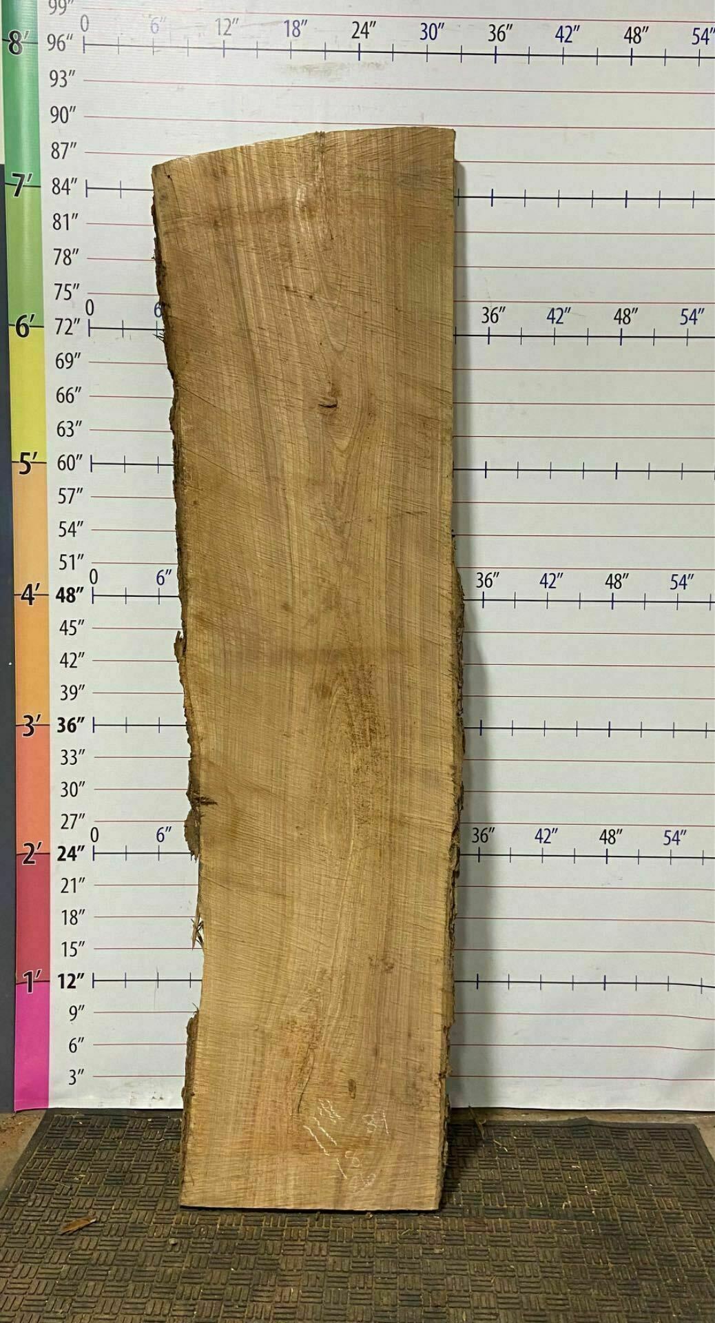 Catalpa Live Edge Slab - CTP 18