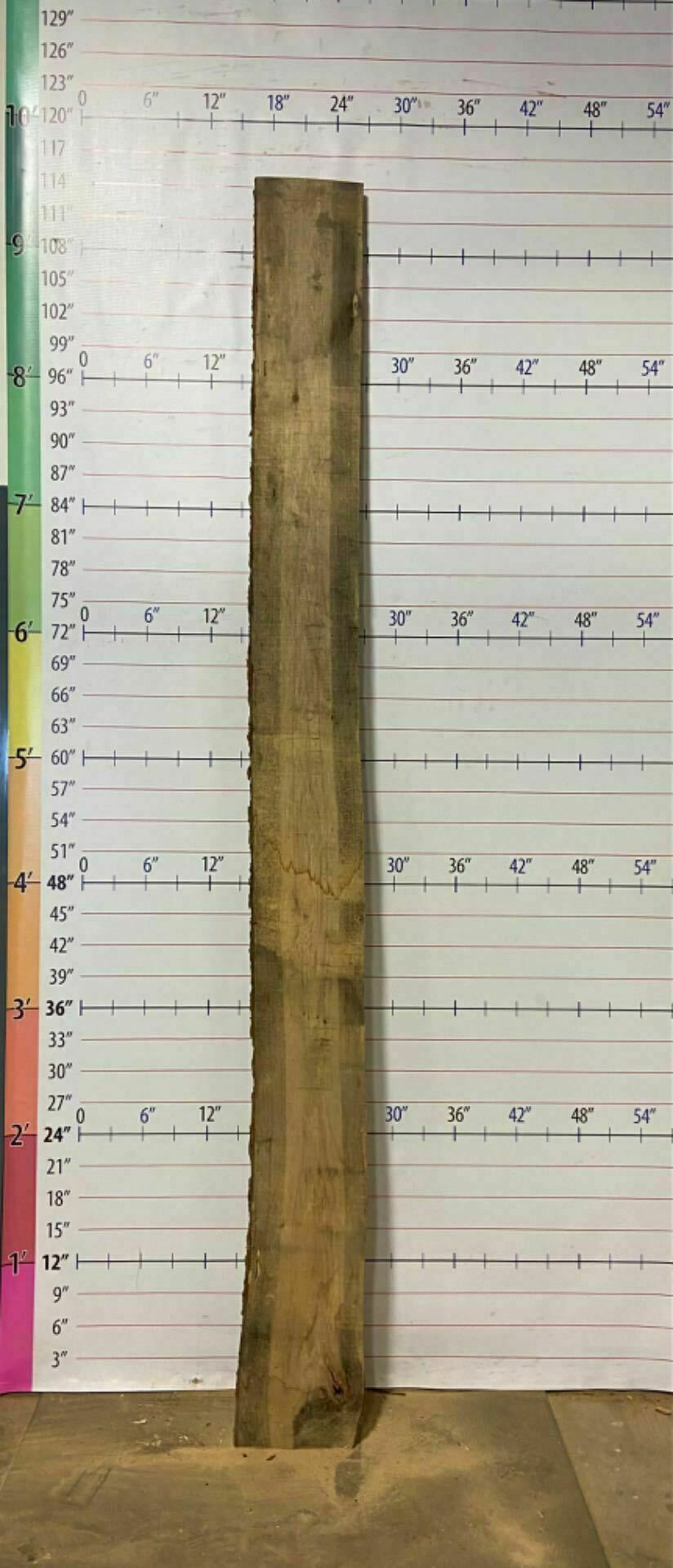 Catalpa Live Edge Slab - CTP 2