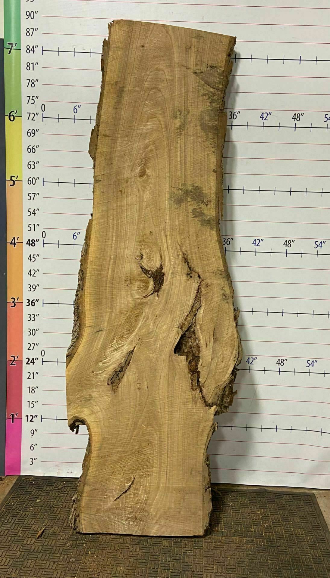 Catalpa Live Edge Slab - CTP 20