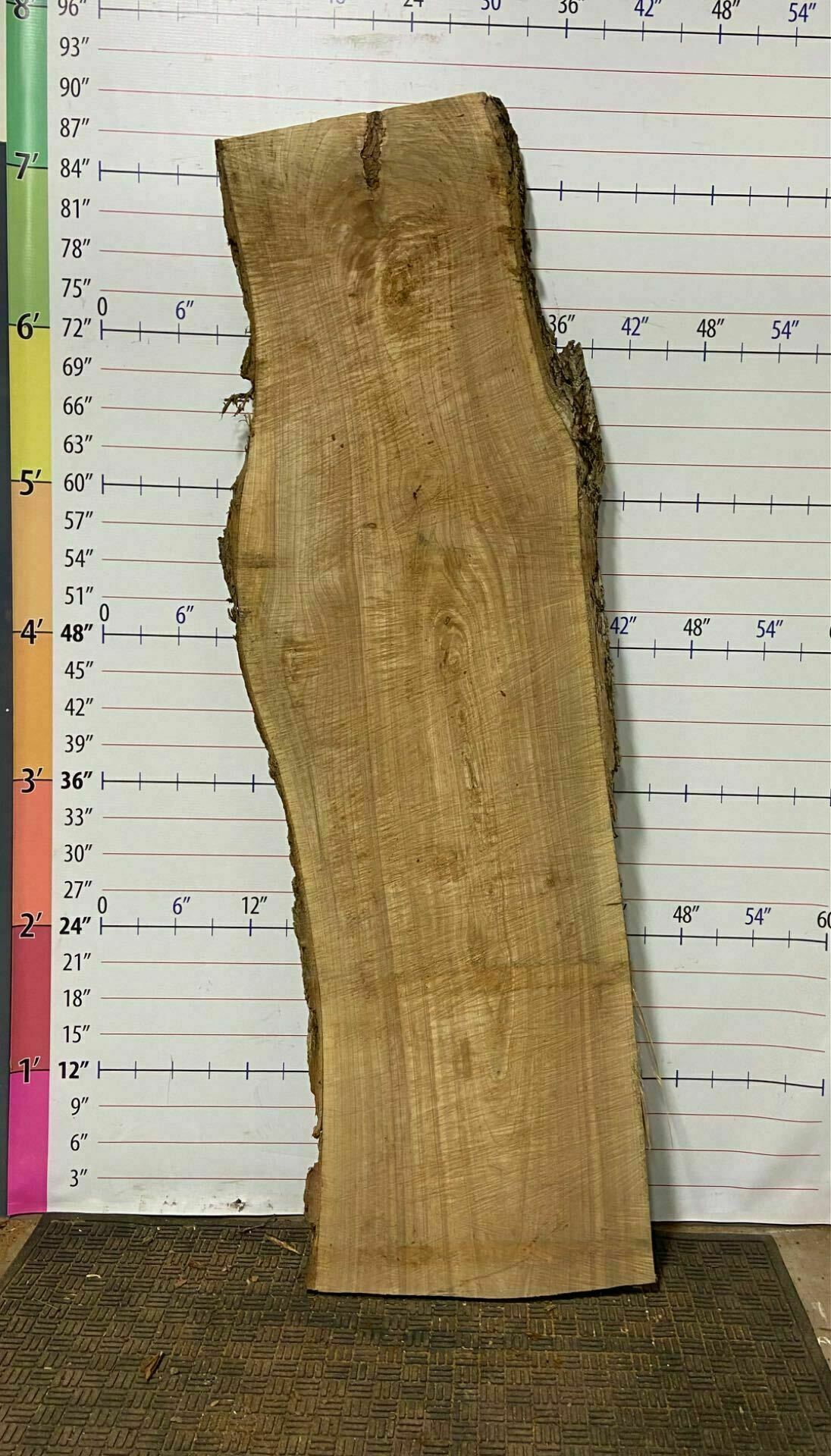 Catalpa Live Edge Slab - CTP 21
