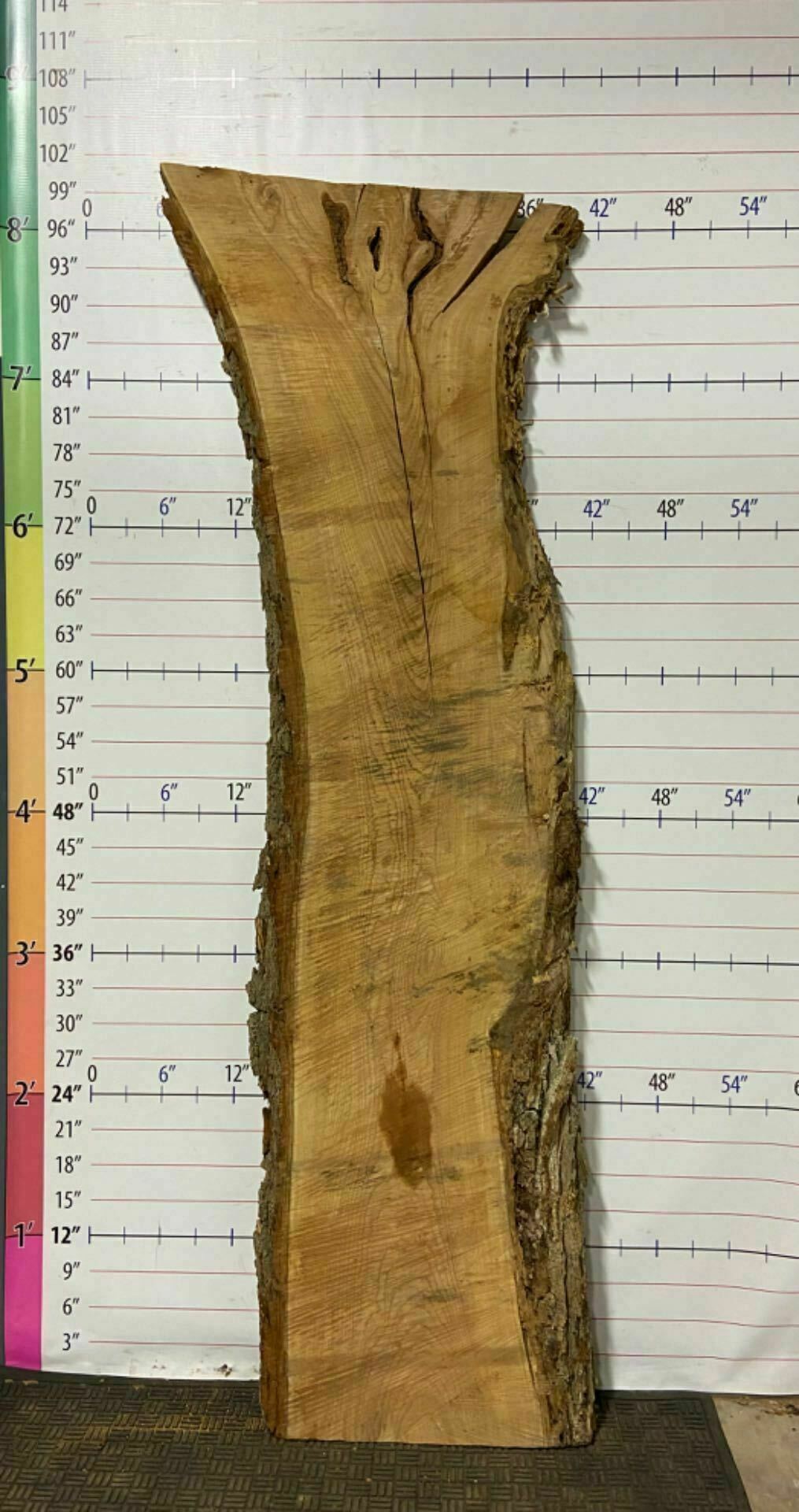 Catalpa Live Edge Slab - CTP 22