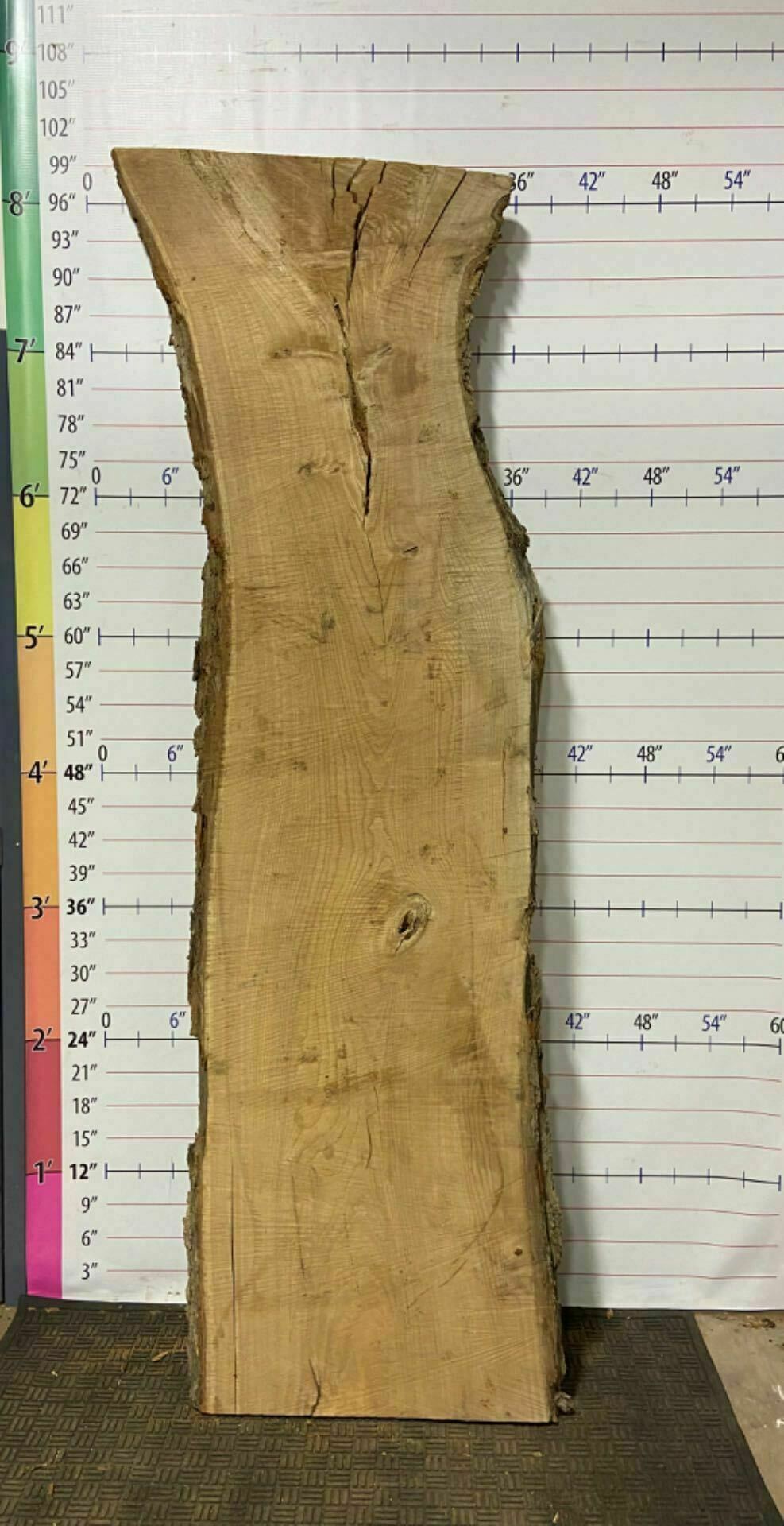 Catalpa Live Edge Slab - CTP 23