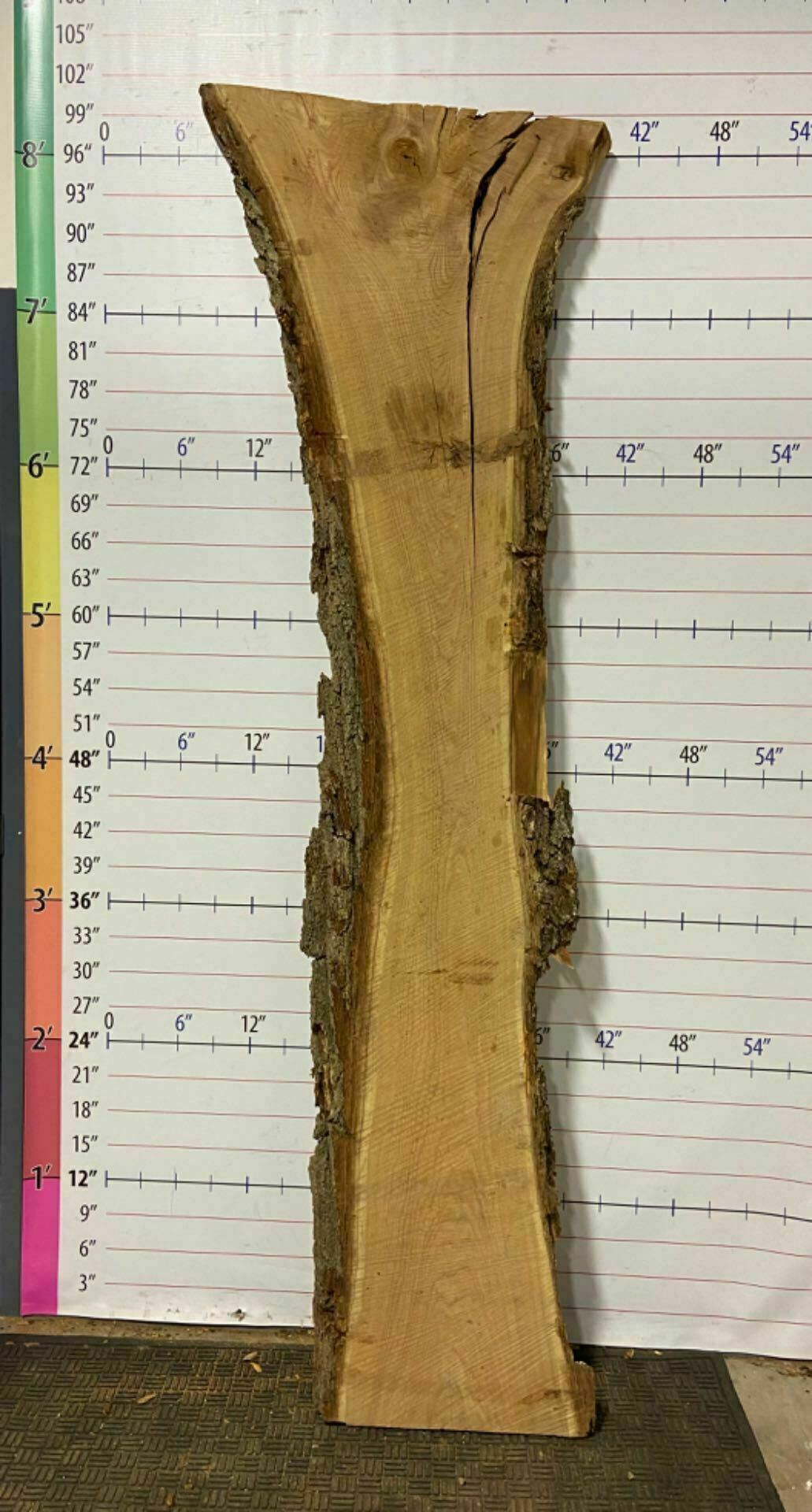 Catalpa Live Edge Slab - CTP 24