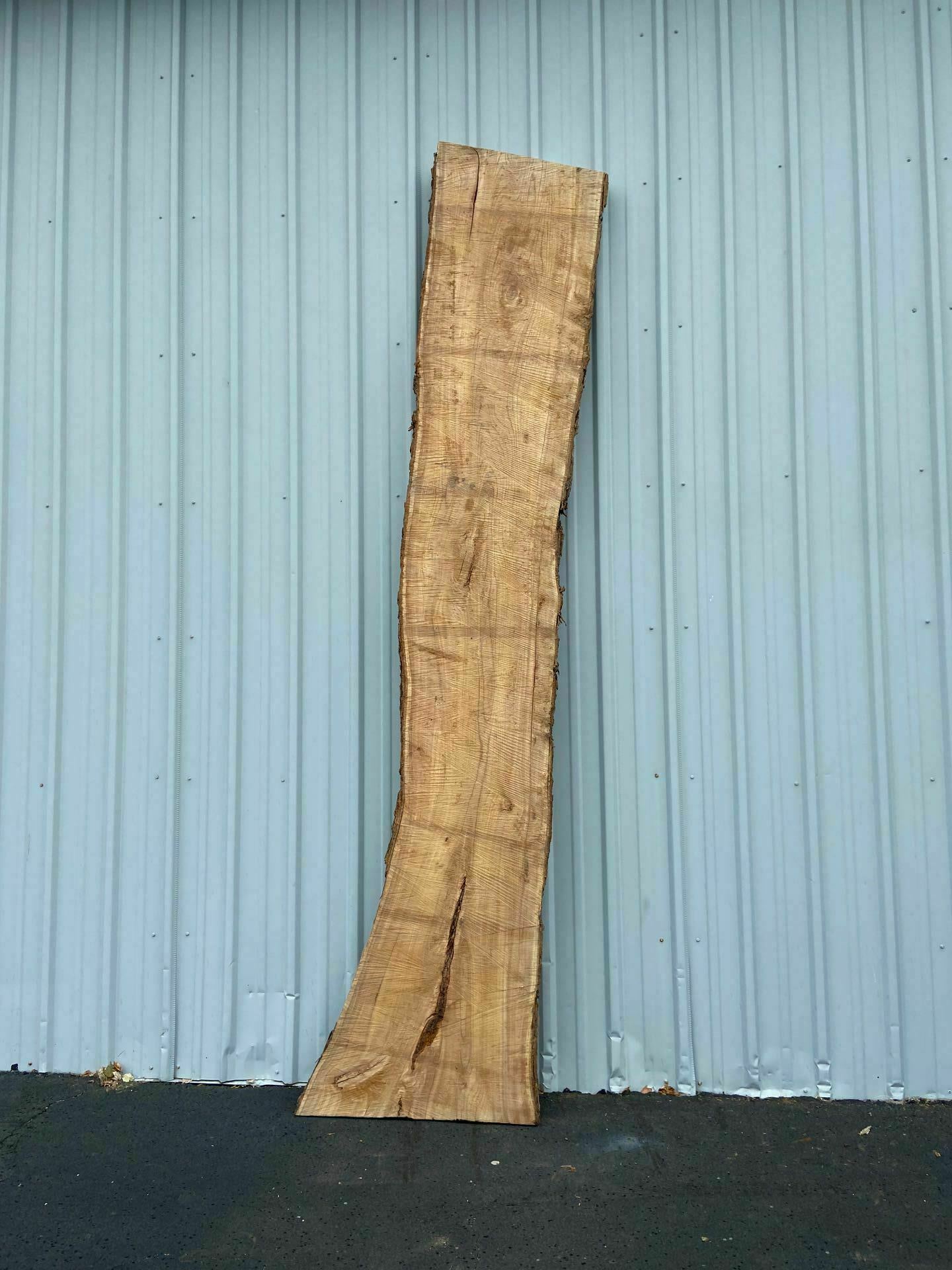 Catalpa Live Edge Slab - CTP 26
