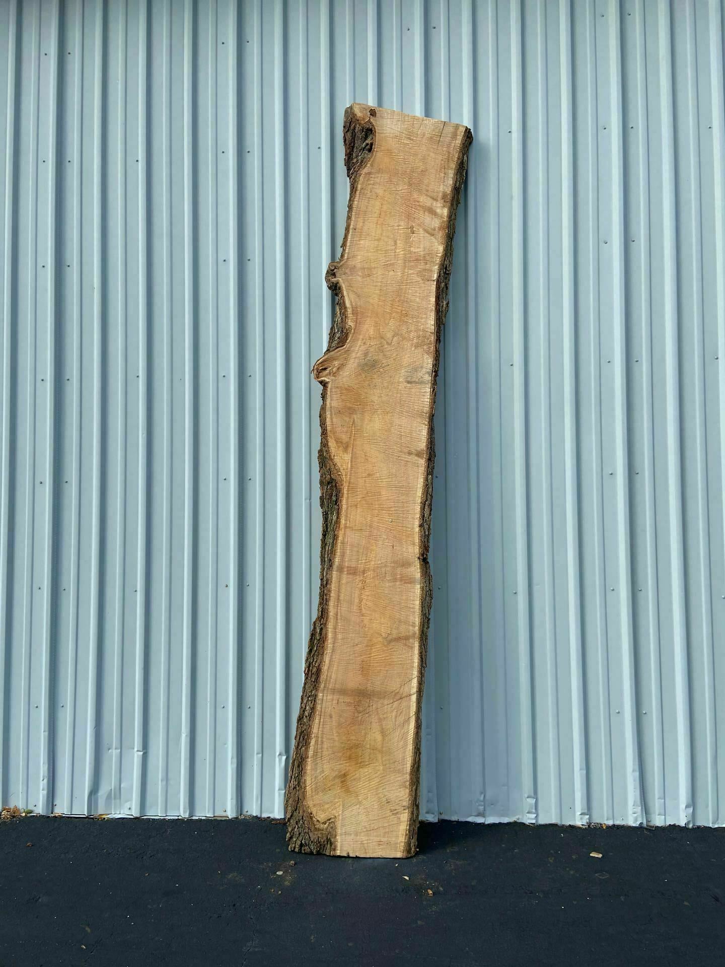 Catalpa Live Edge Slab - CTP 28