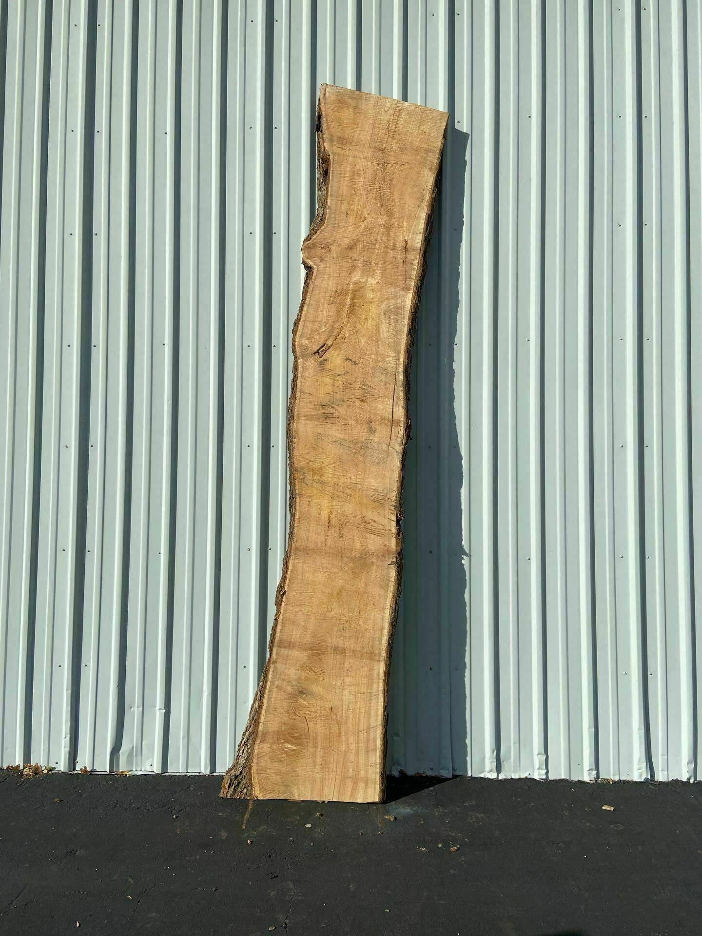 Catalpa Live Edge Slab - CTP 29
