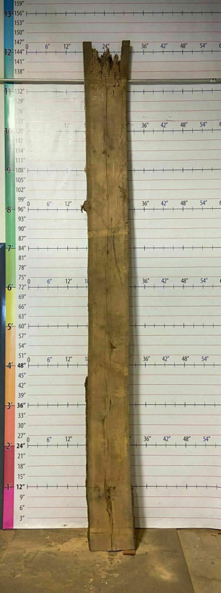 Catalpa Live Edge Slab - CTP 3