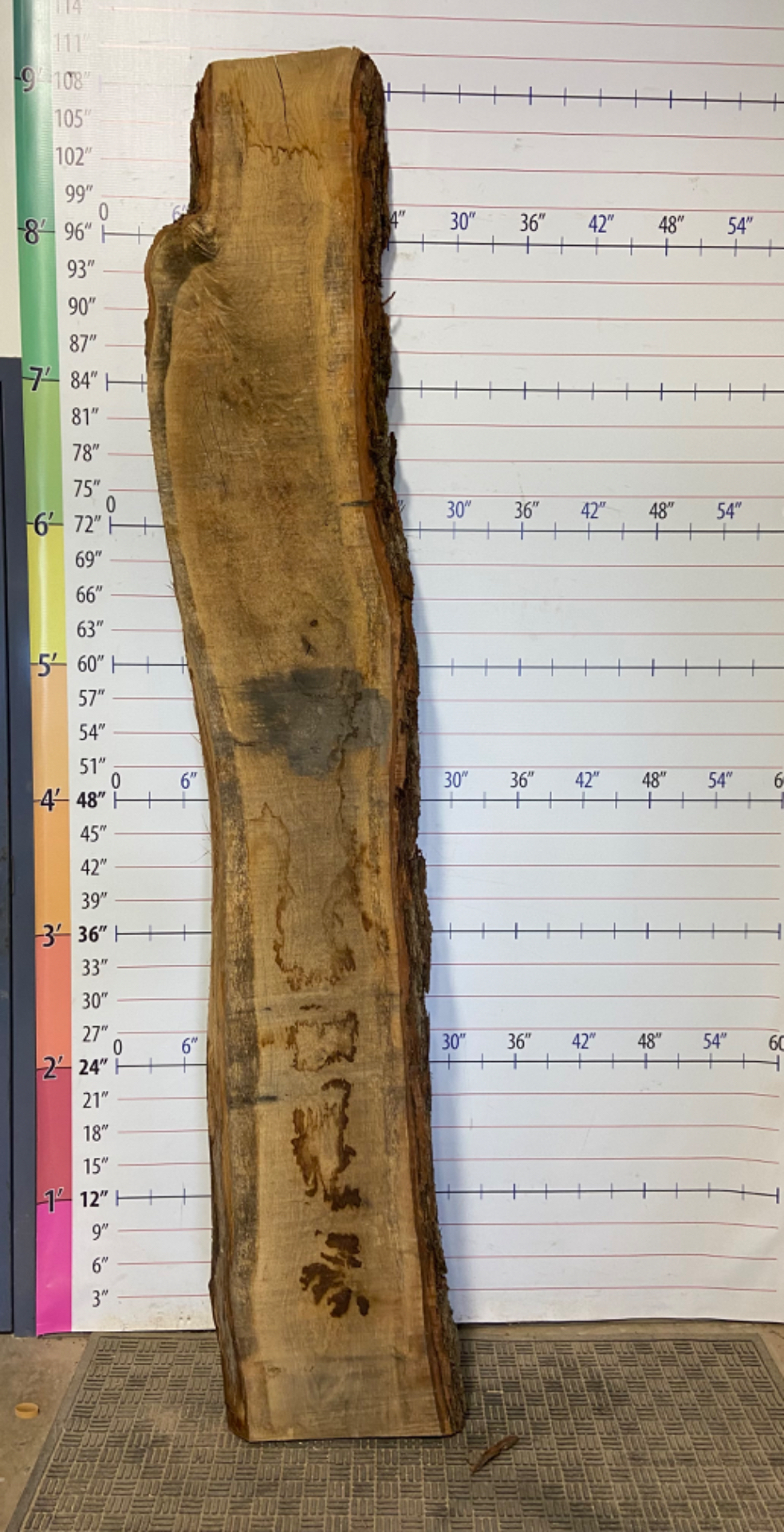 Catalpa Live Edge Slab - CTP 31