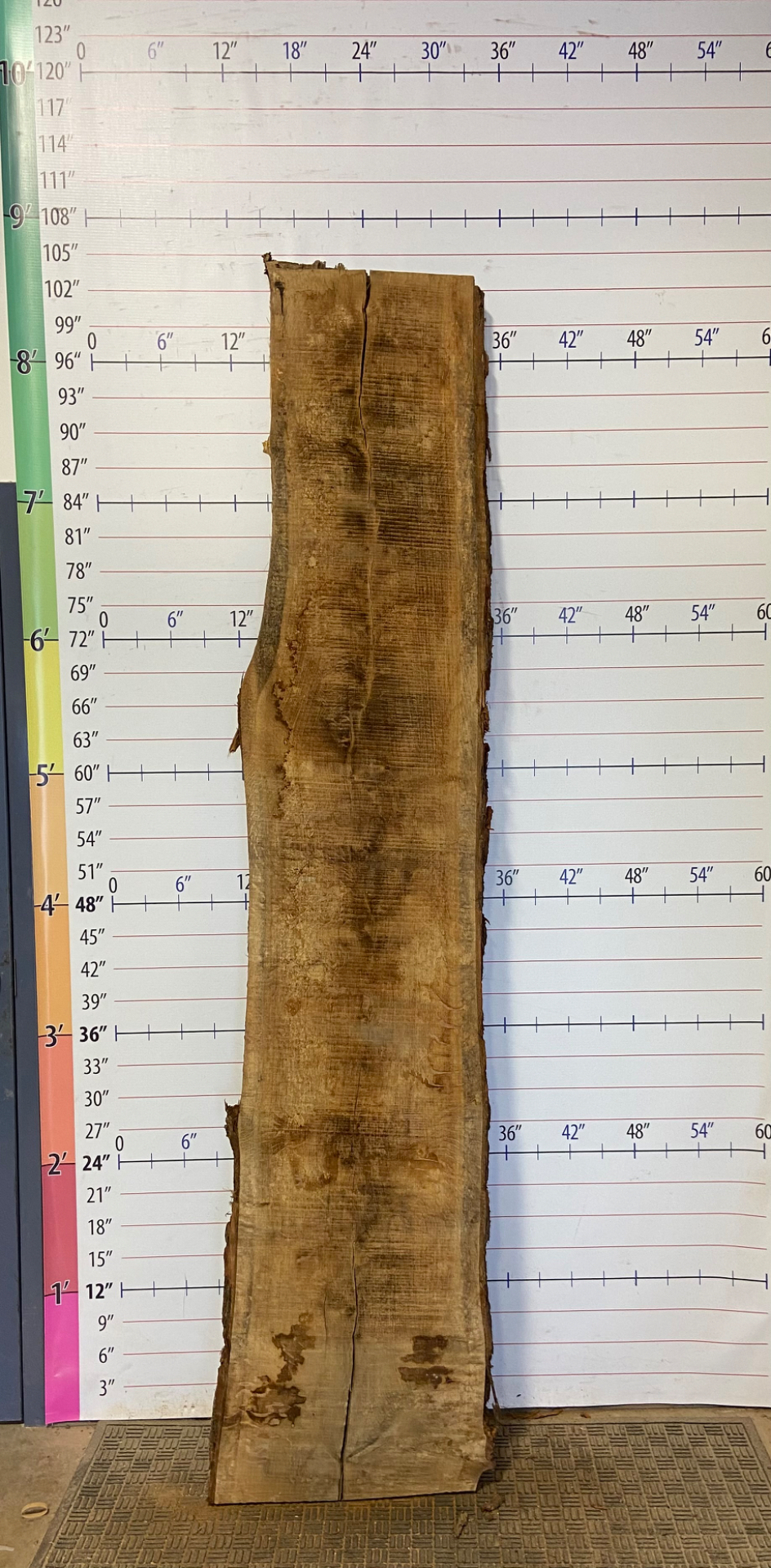 Catalpa Live Edge Slab - CTP 32
