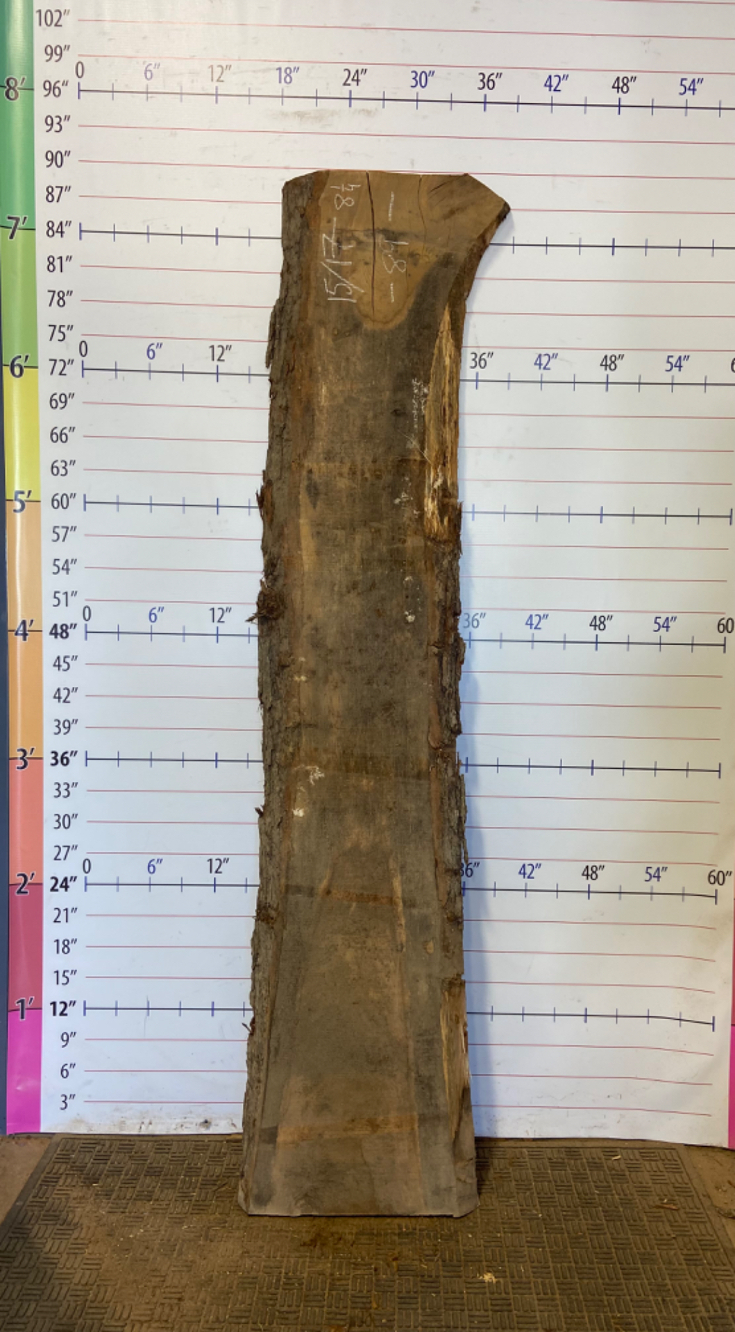Red Elm Live Edge Slab - CTP 39