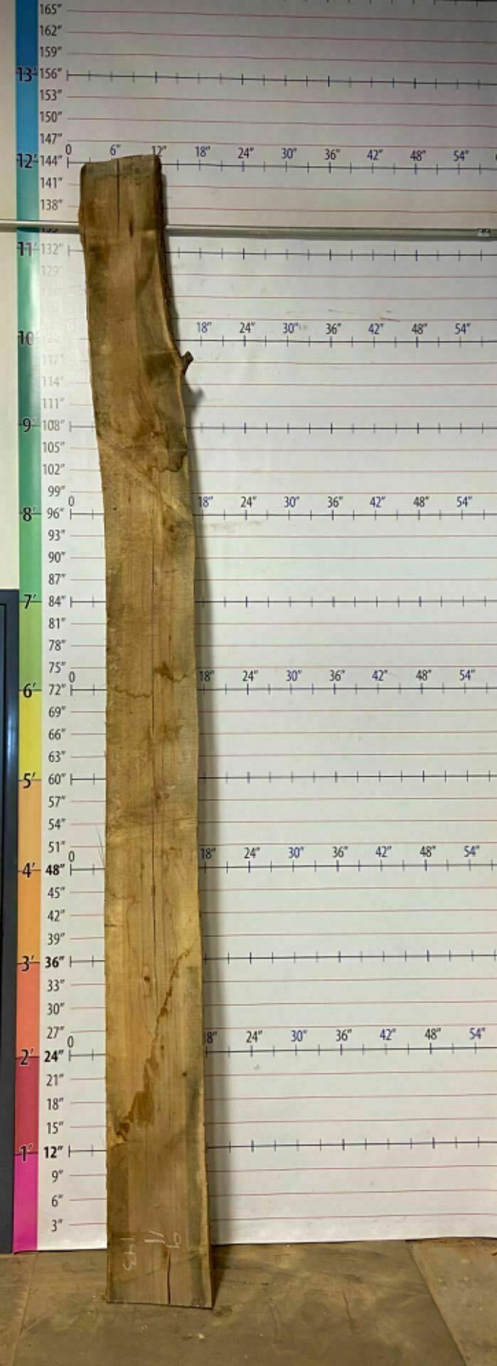 Catalpa Live Edge Slab - CTP 9