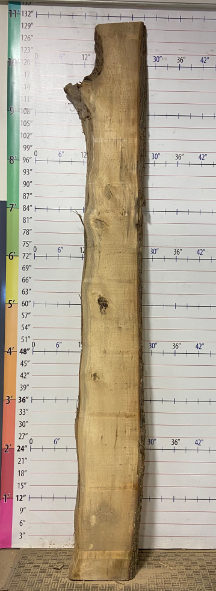 Poplar Live Edge Slab - POP 5