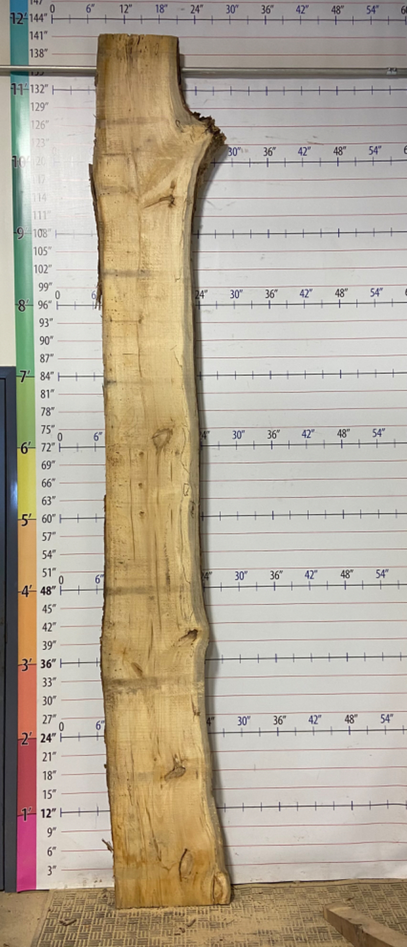 Poplar Live Edge Slab - POP 7
