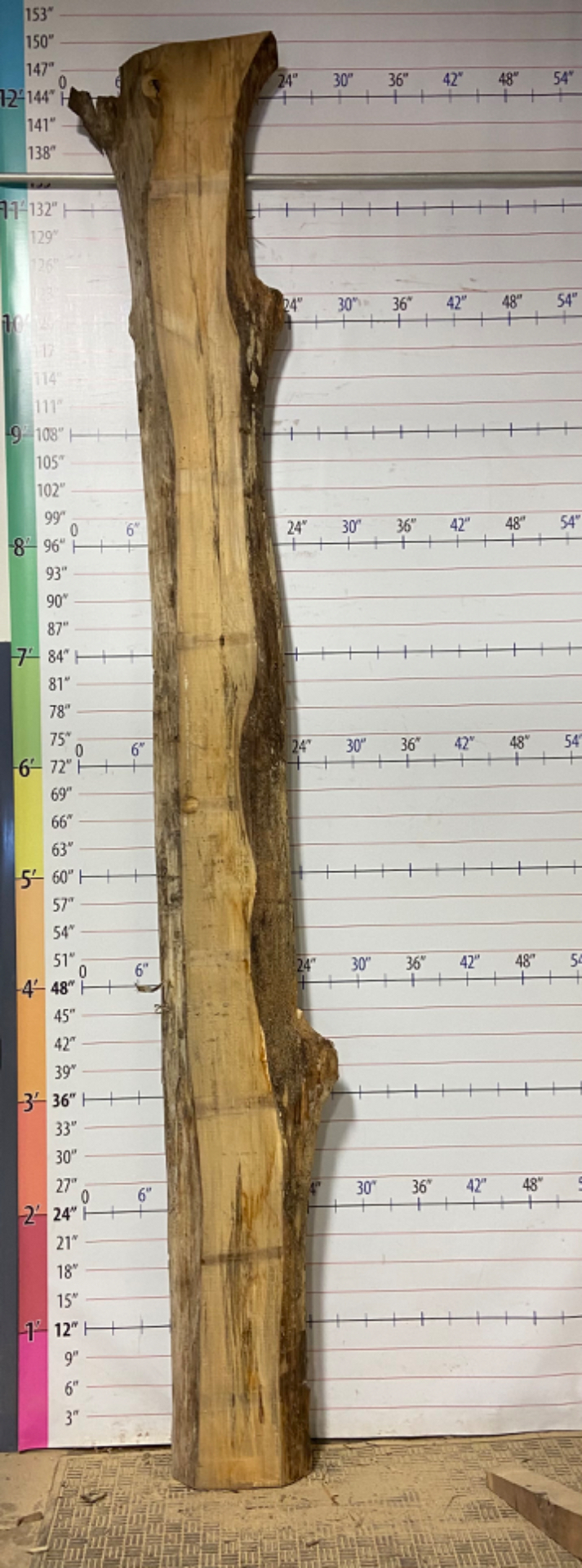 Poplar Live Edge Slab - POP 8