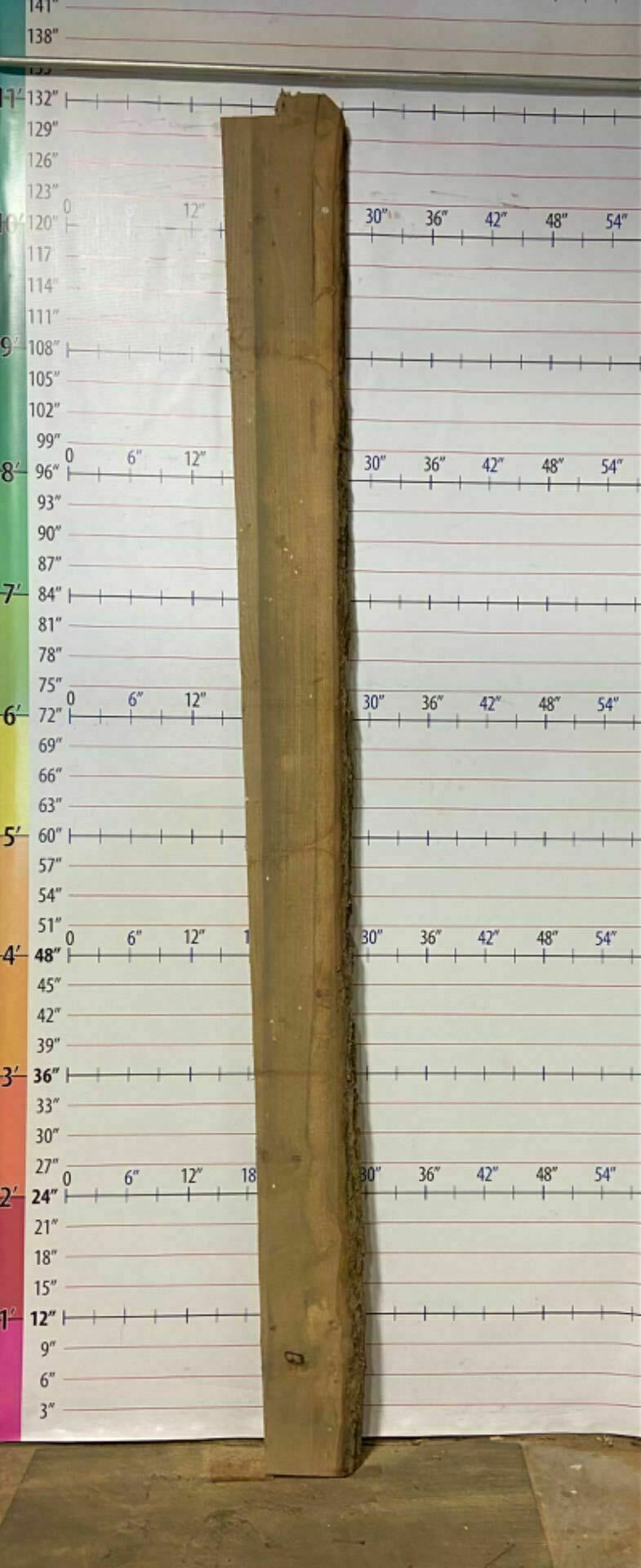 Red Oak Live Edge Slab - RO 2