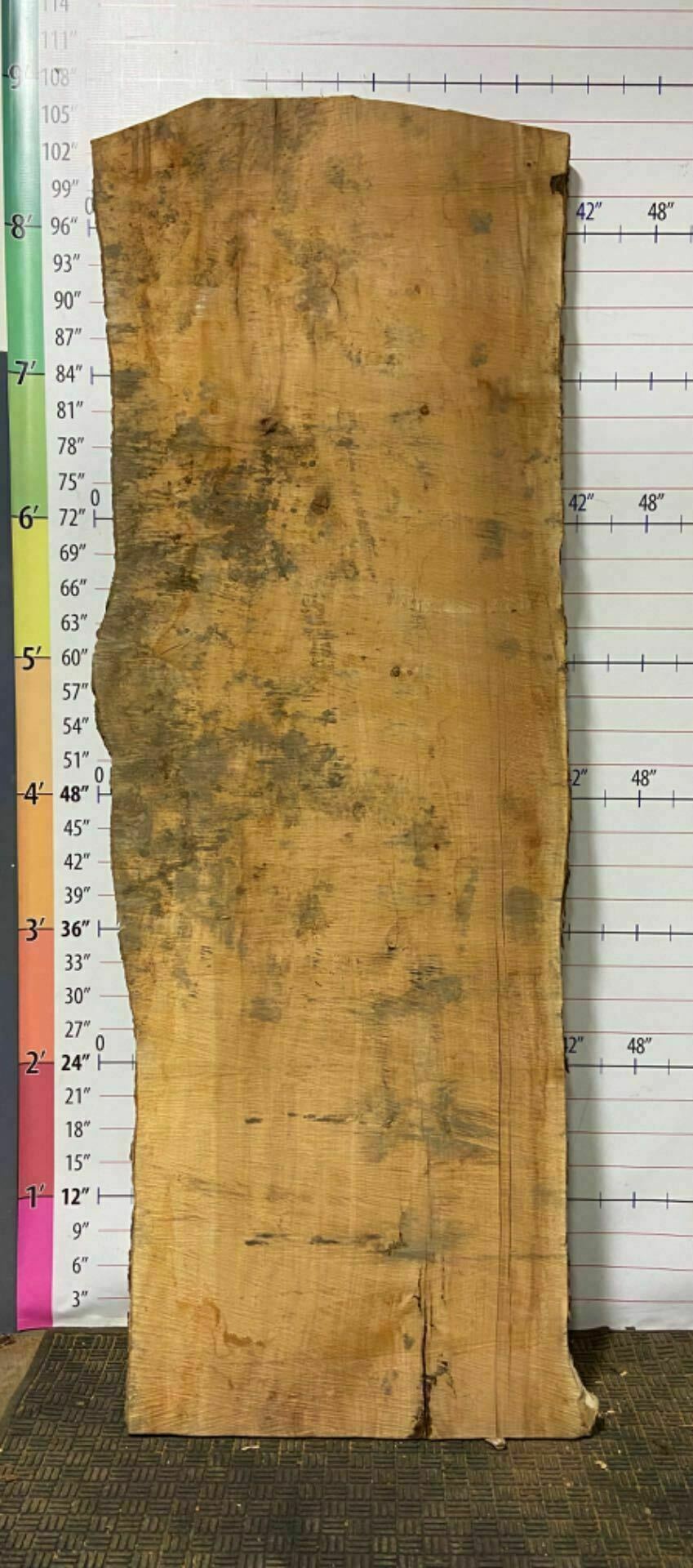 American Sycamore Live Edge Slab - S 10