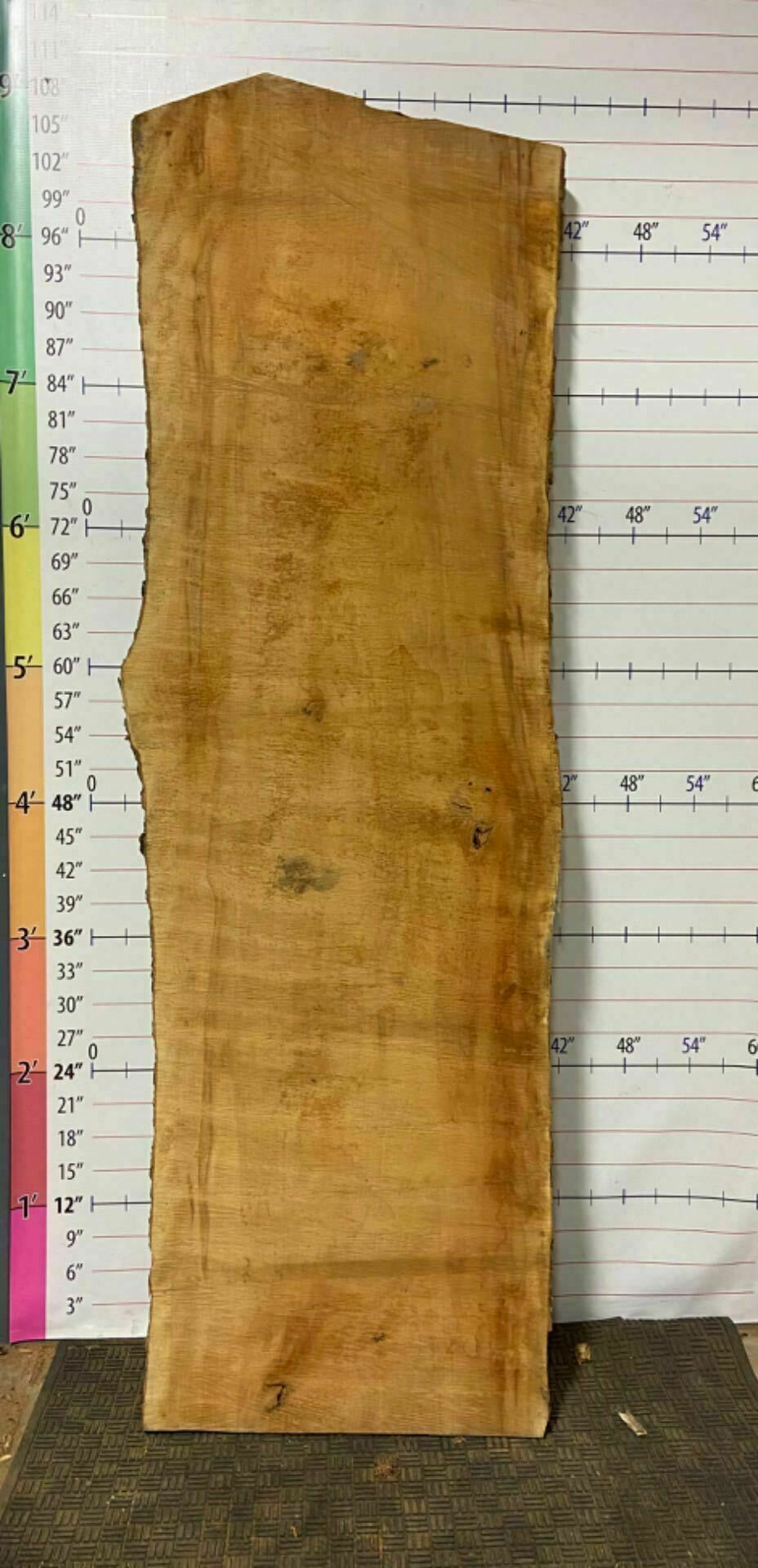 American Sycamore Live Edge Slab - S 12