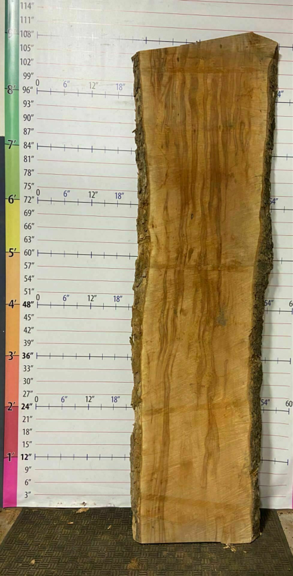 American Sycamore Live Edge Slab - S 13