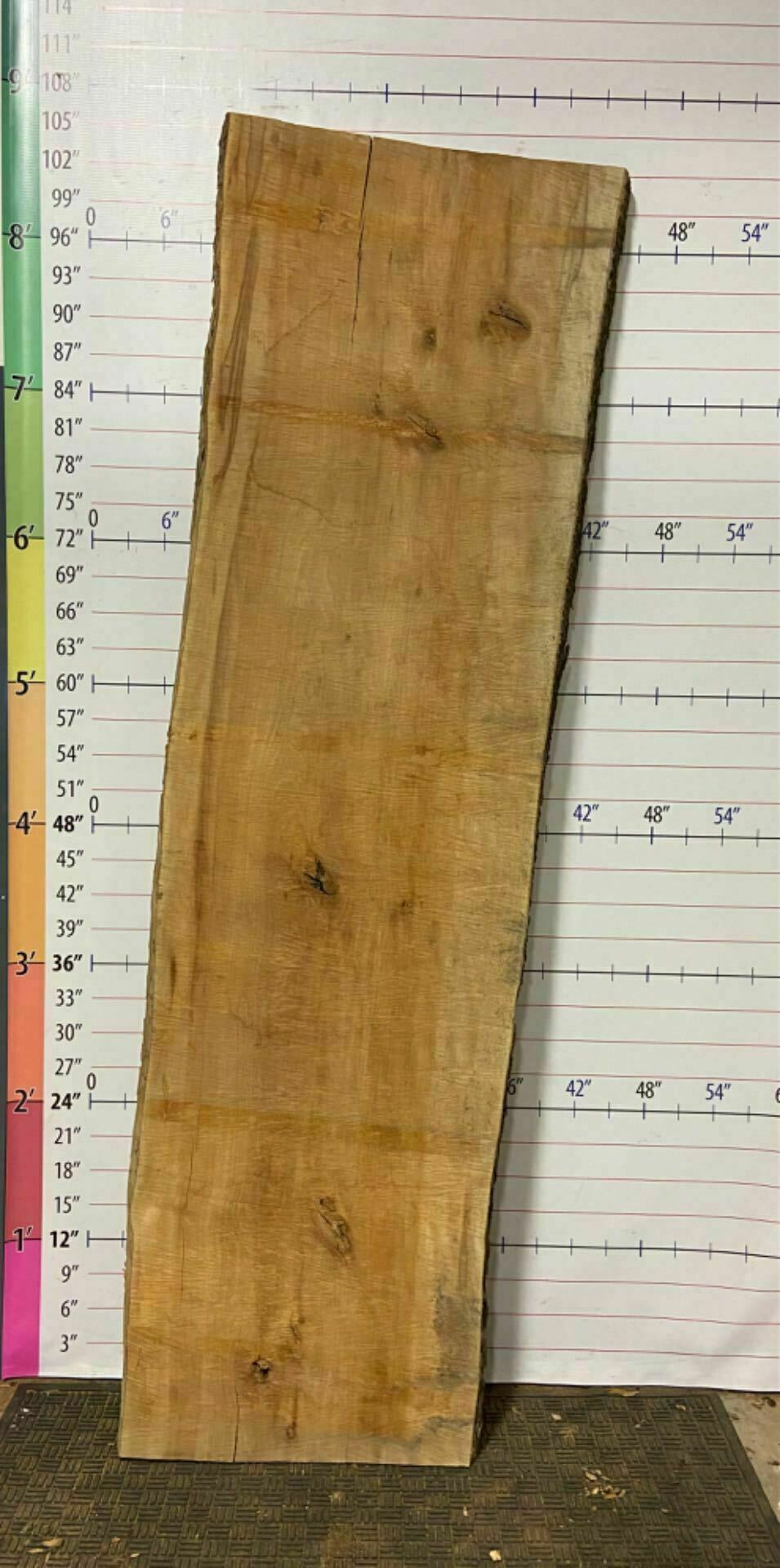 American Sycamore Live Edge Slab - S 16