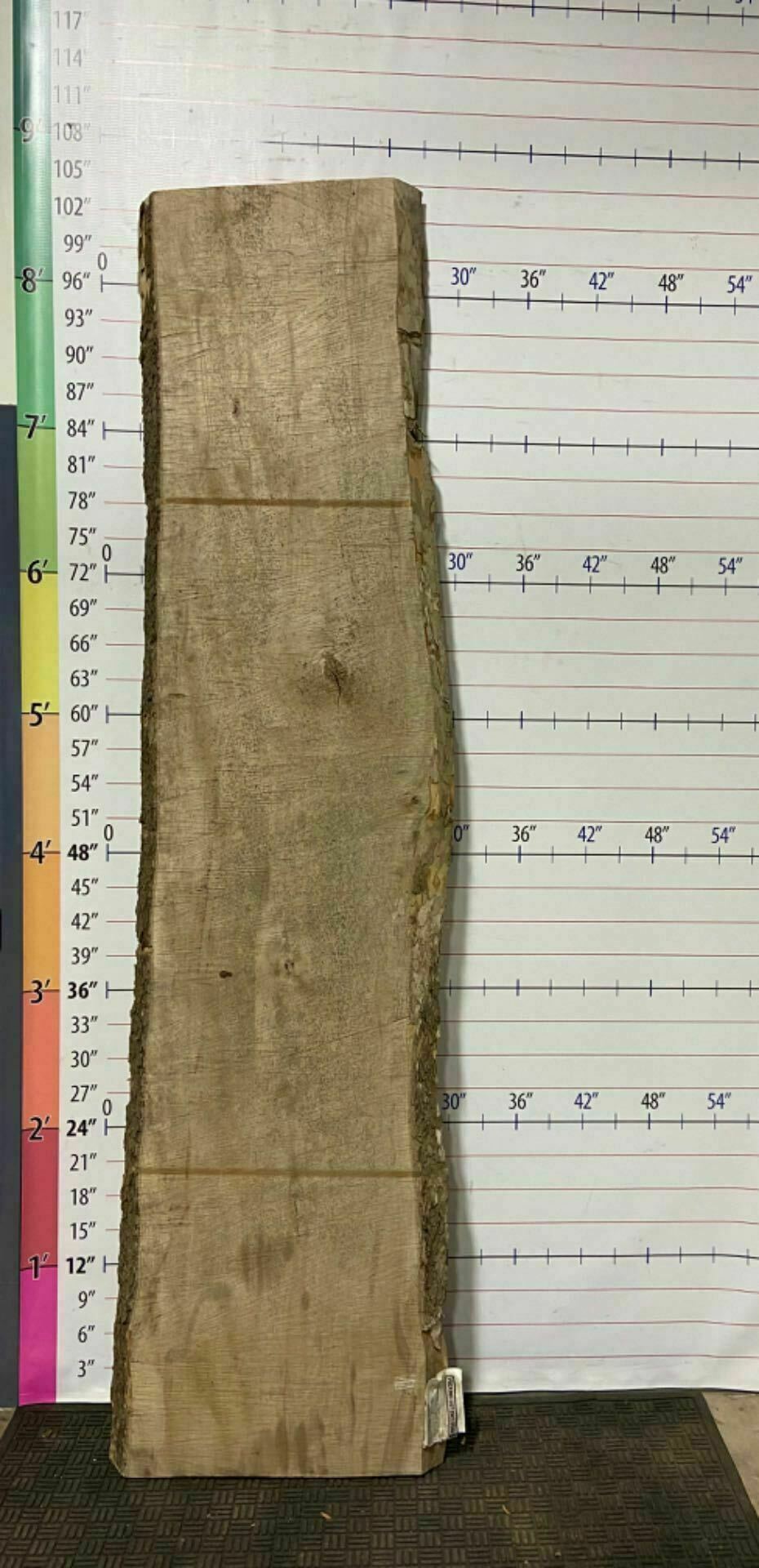 American Sycamore Live Edge Slab - S 18
