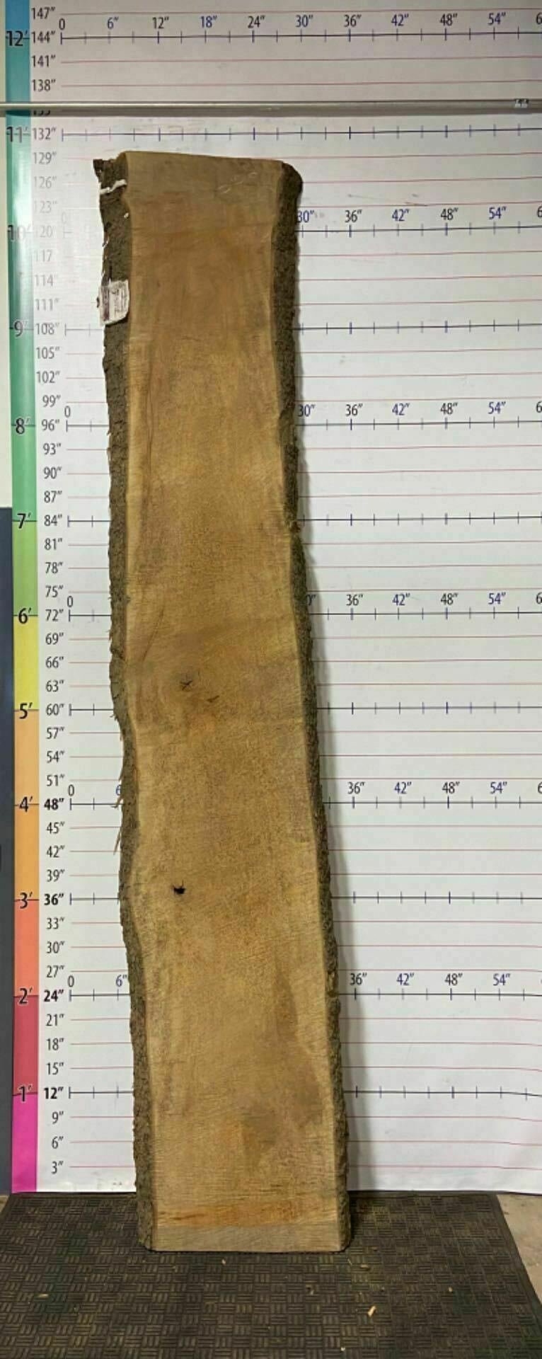 American Sycamore Live Edge Slab - S 19