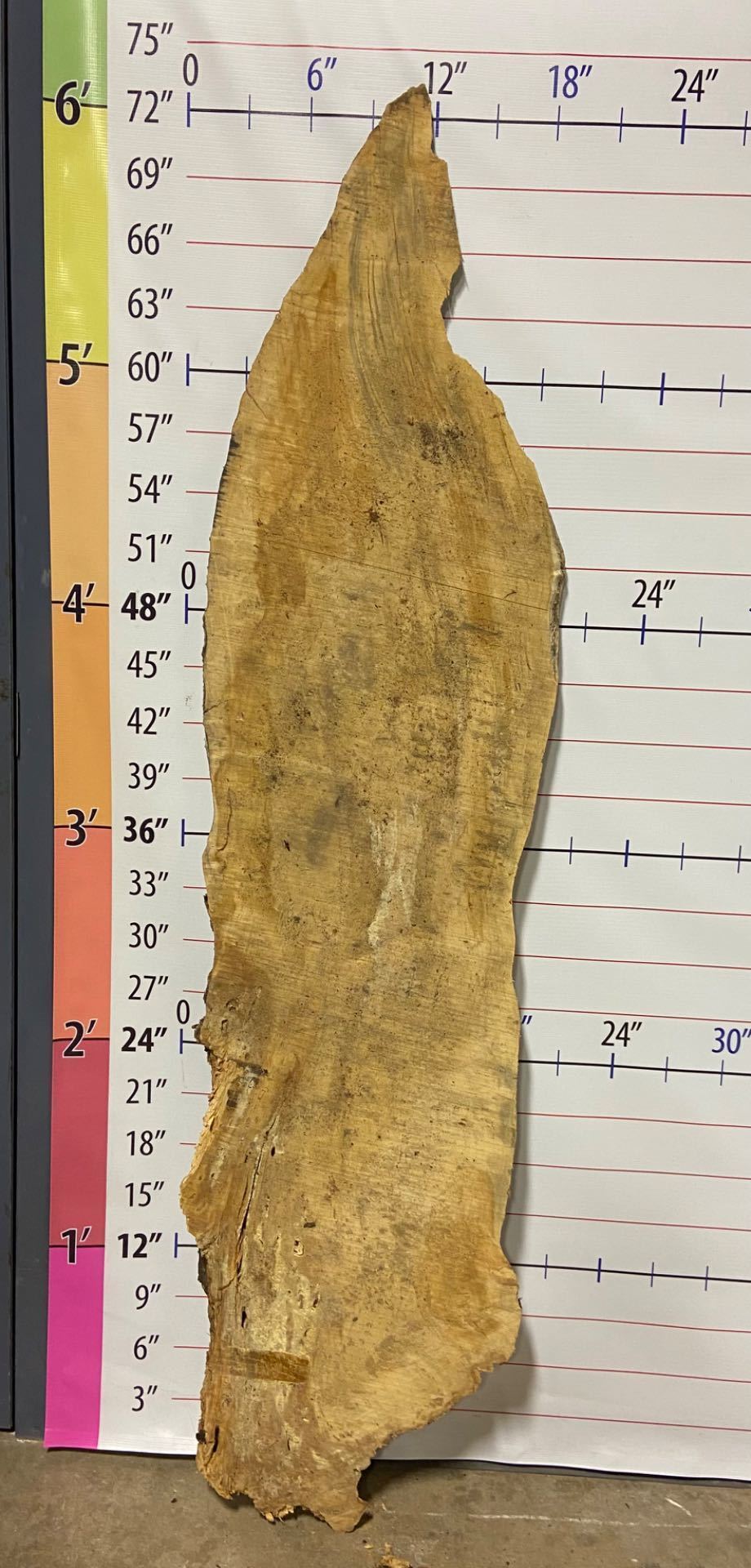 American Sycamore Live Edge Slab - S 2