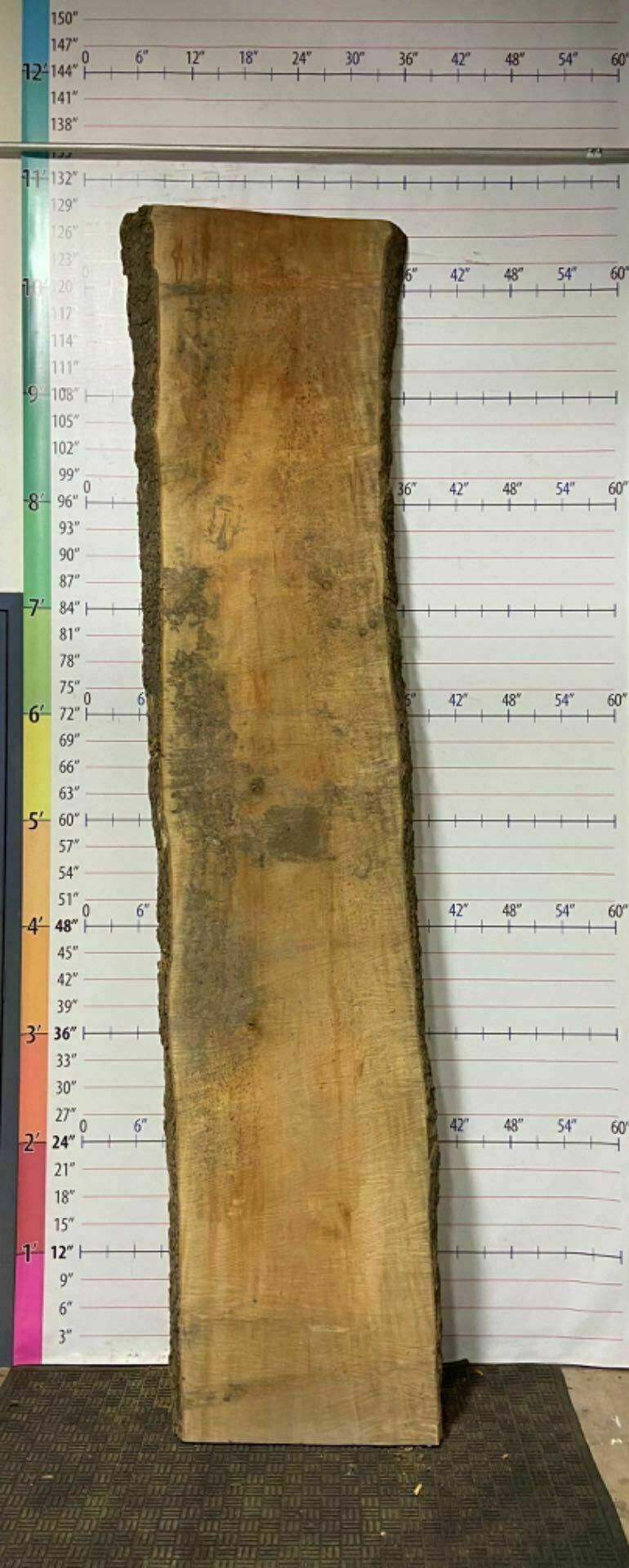 American Sycamore Live Edge Slab - S 20