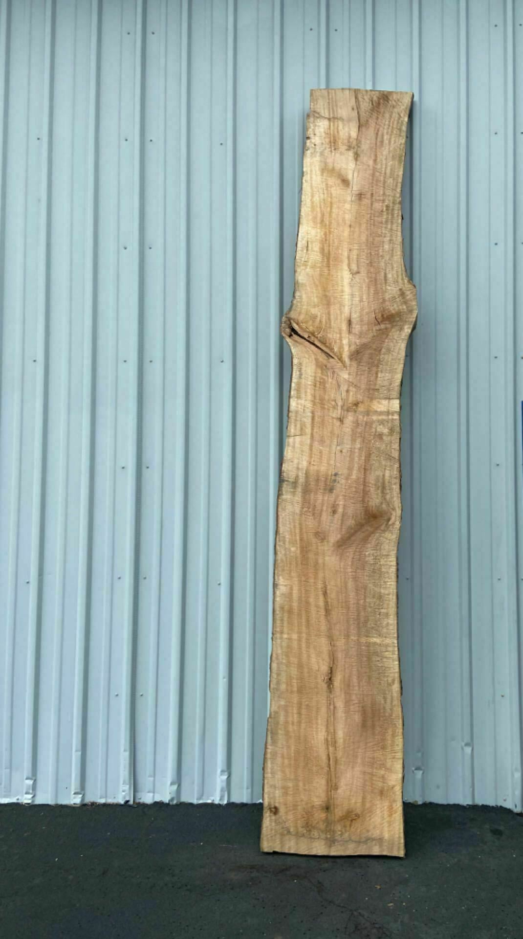 American Sycamore Live Edge Slab - S 21