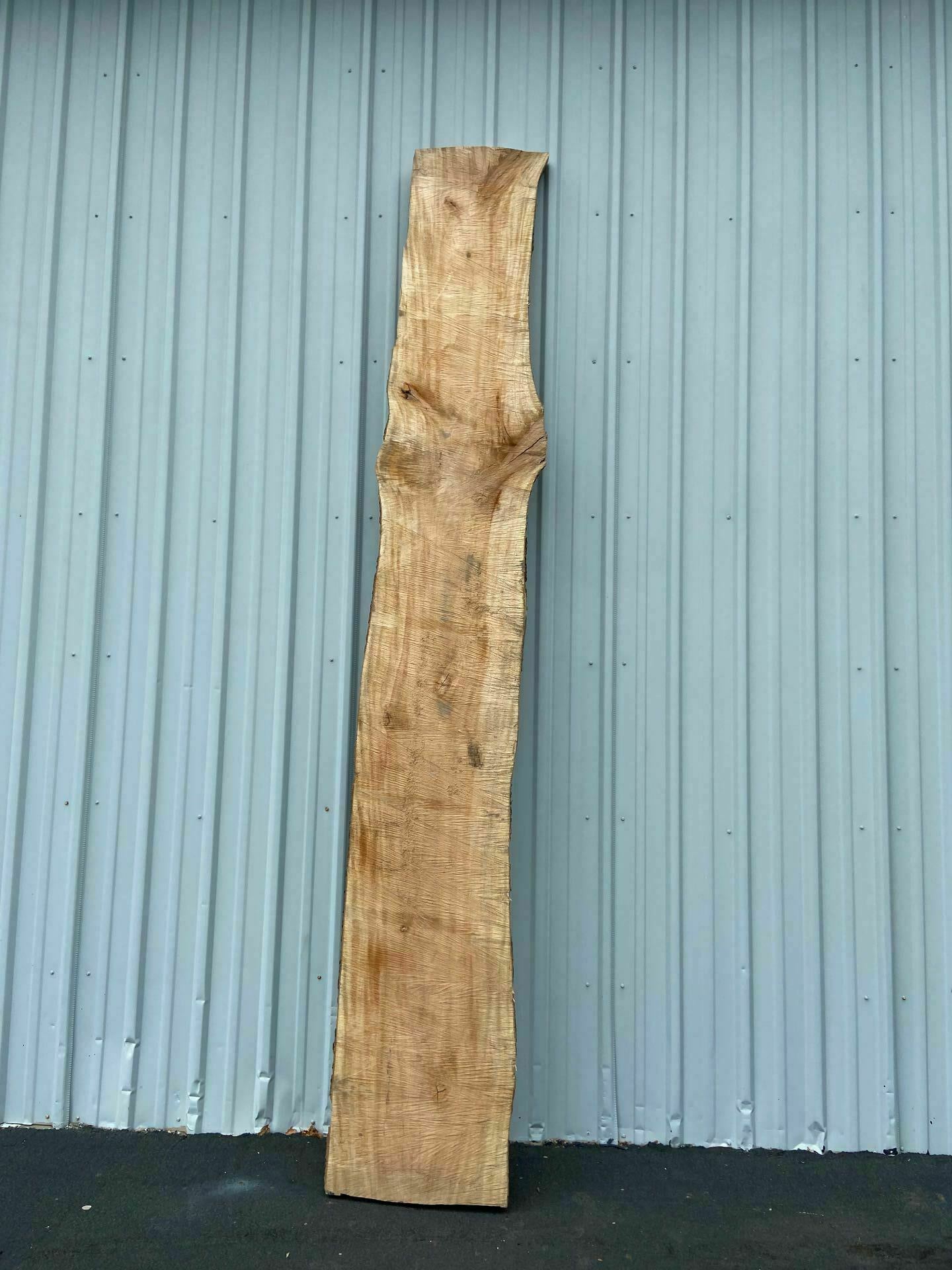American Sycamore Live Edge Slab - S 22