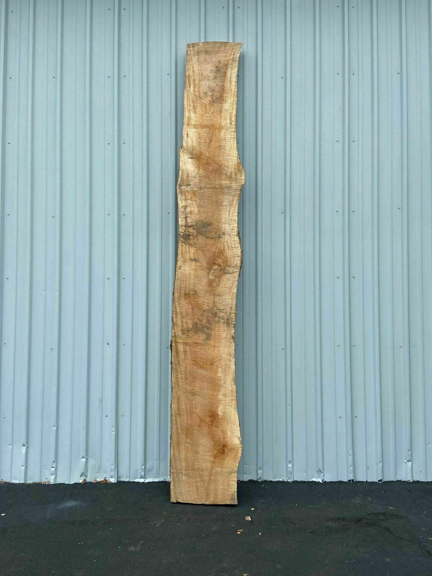 American Sycamore Live Edge Slab - S 23