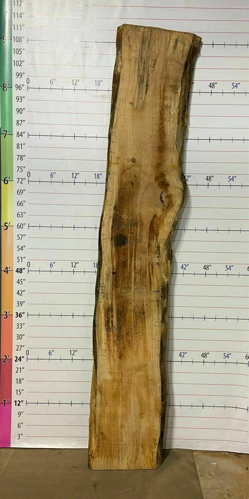 American Sycamore Live Edge Slab - S 3