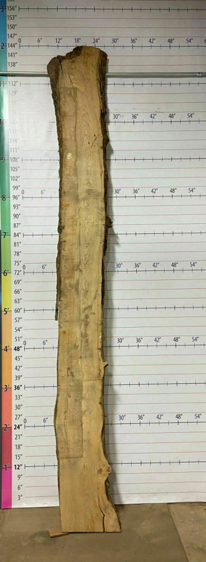 Soft Maple Live Edge Slab - SftM 10