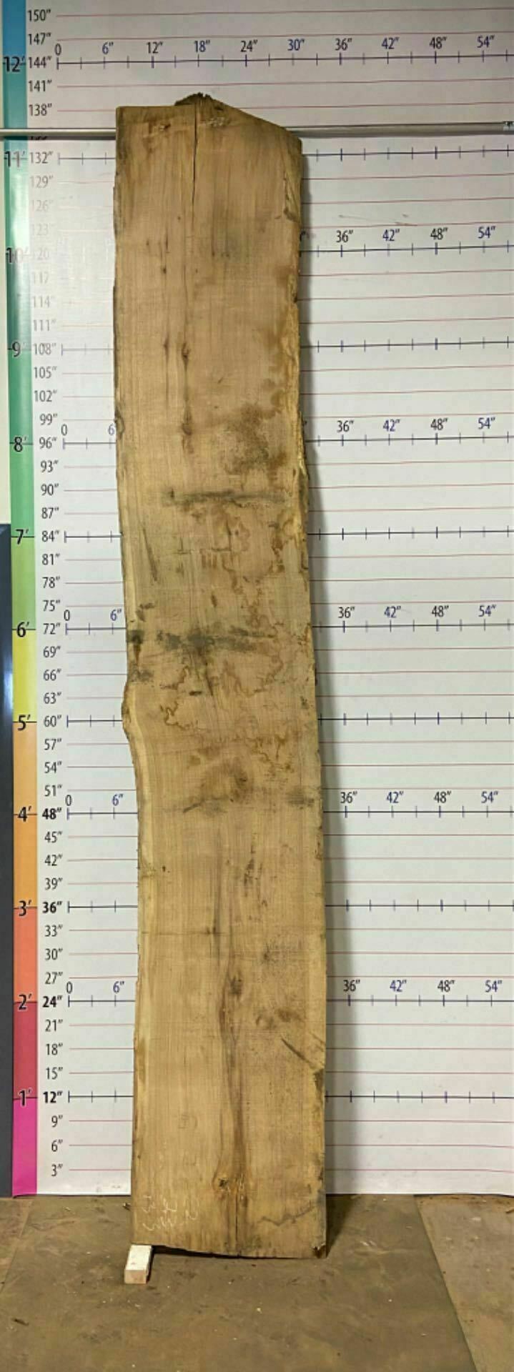 Soft Maple Live Edge Slab - SftM 11