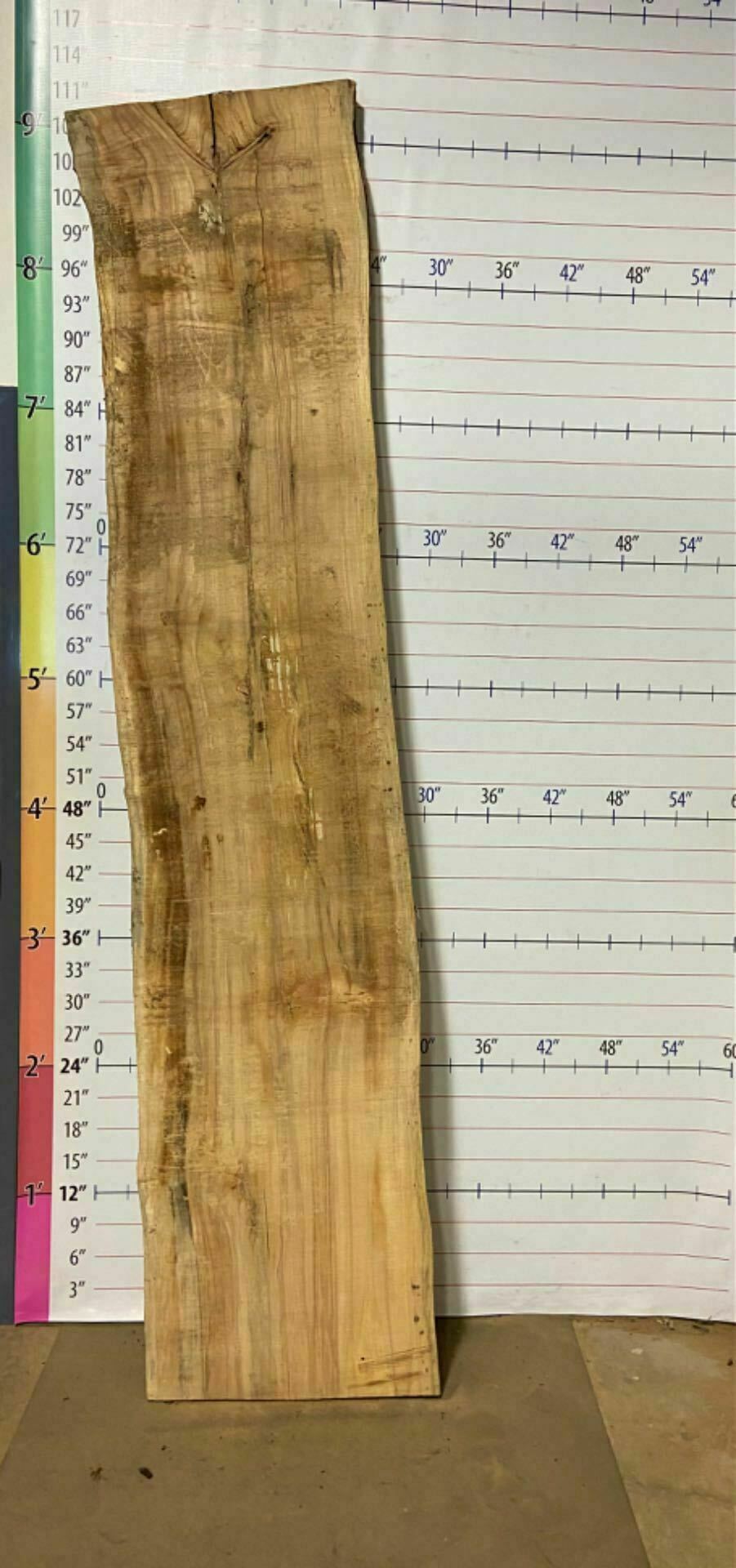 Soft Maple Live Edge Slab - SftM 4