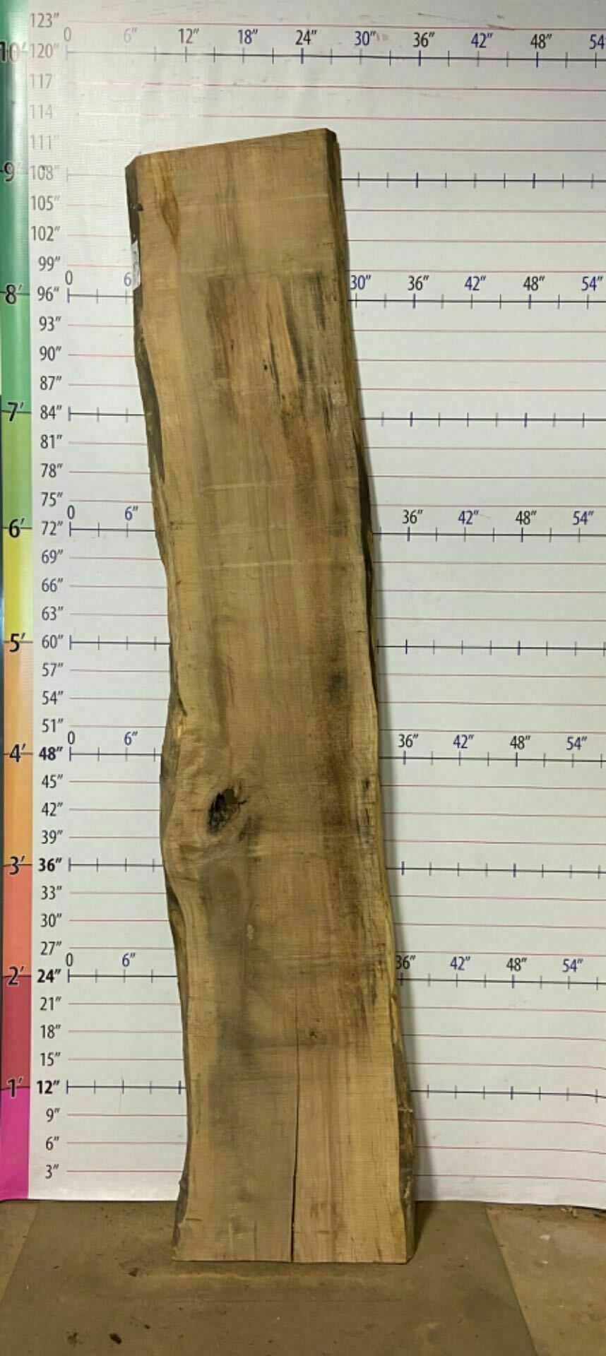 Soft Maple Live Edge Slab - SftM 5